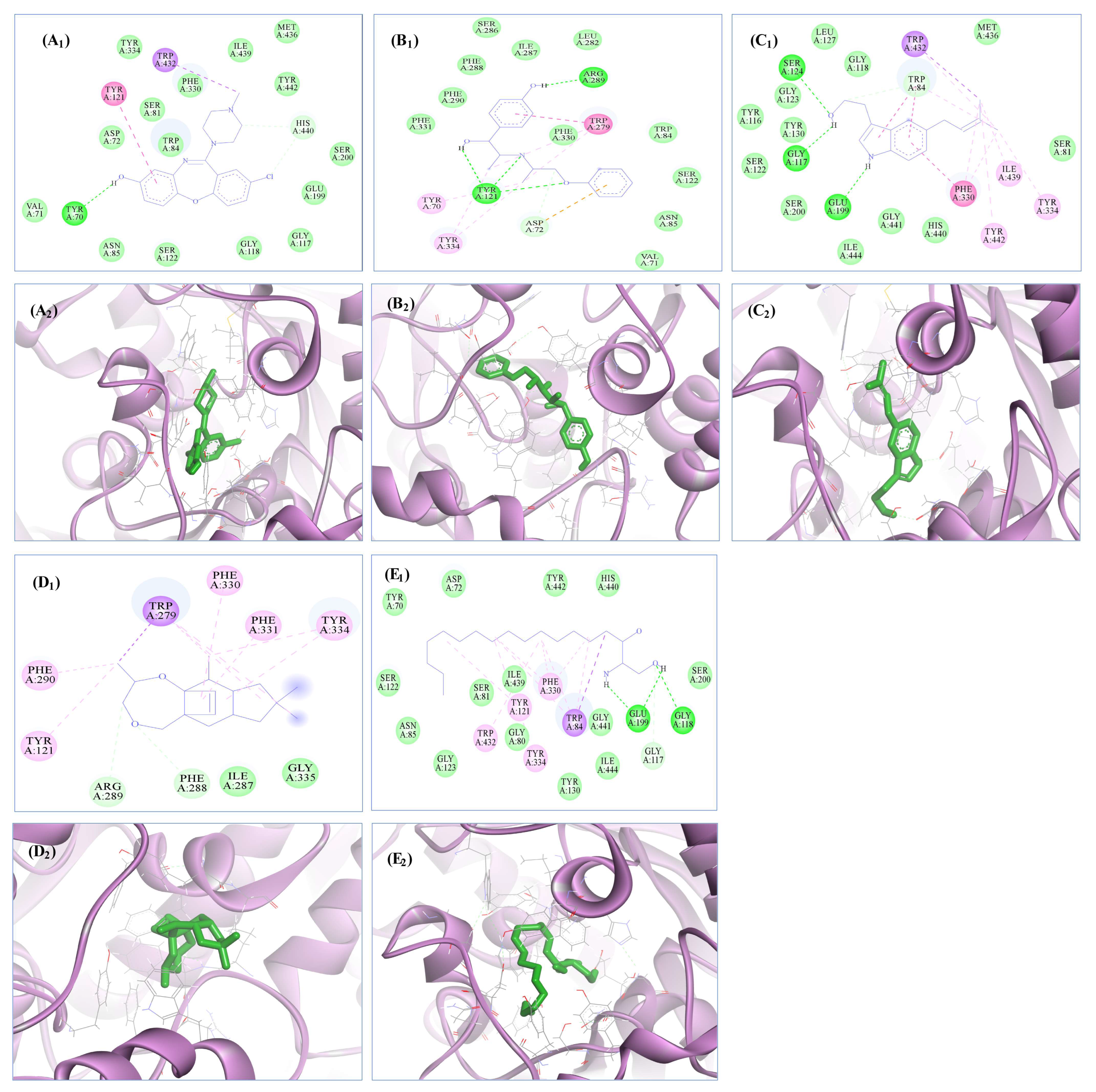 Biomolecules 13 01474 g007