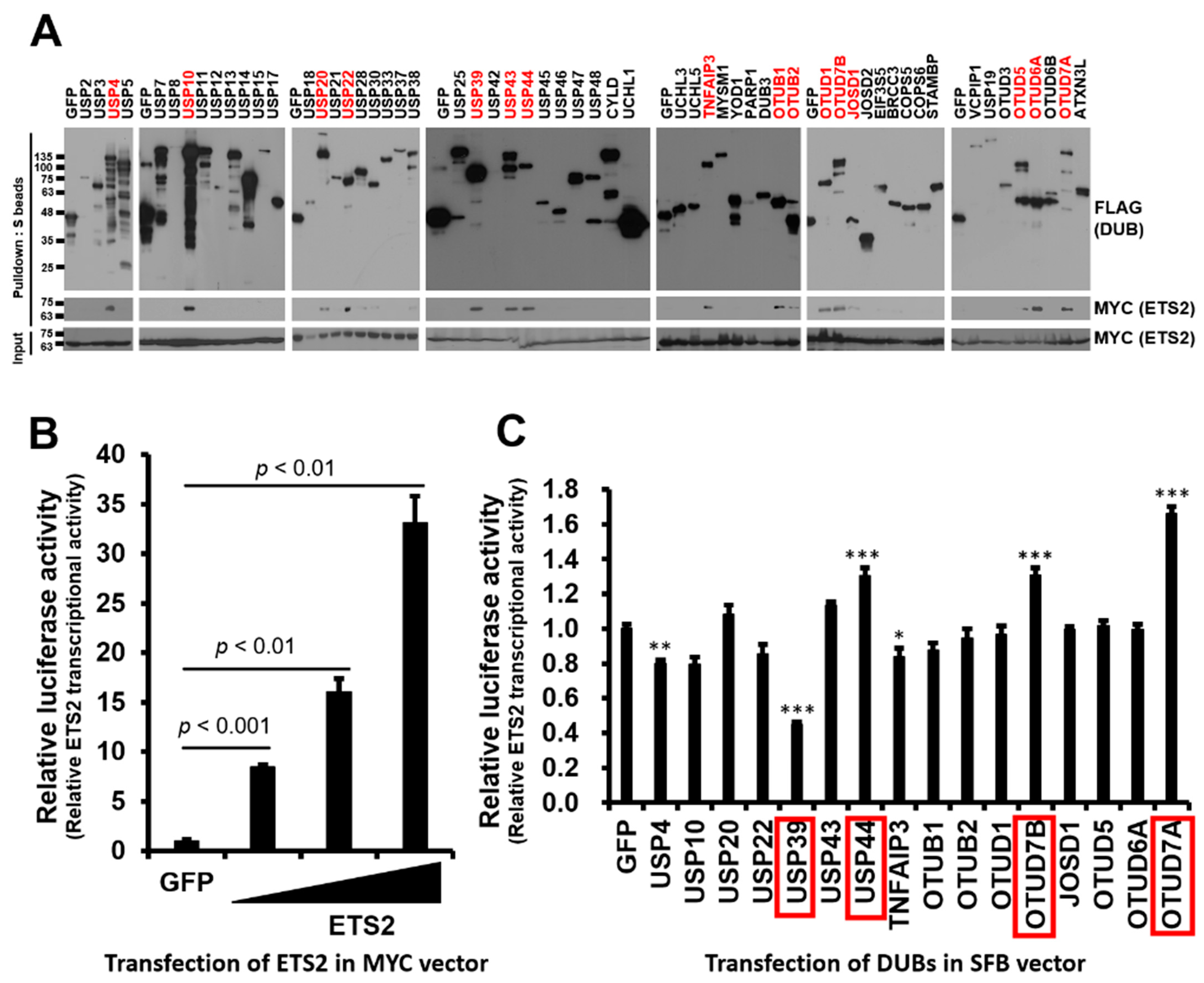 Biomolecules 13 01475 g001