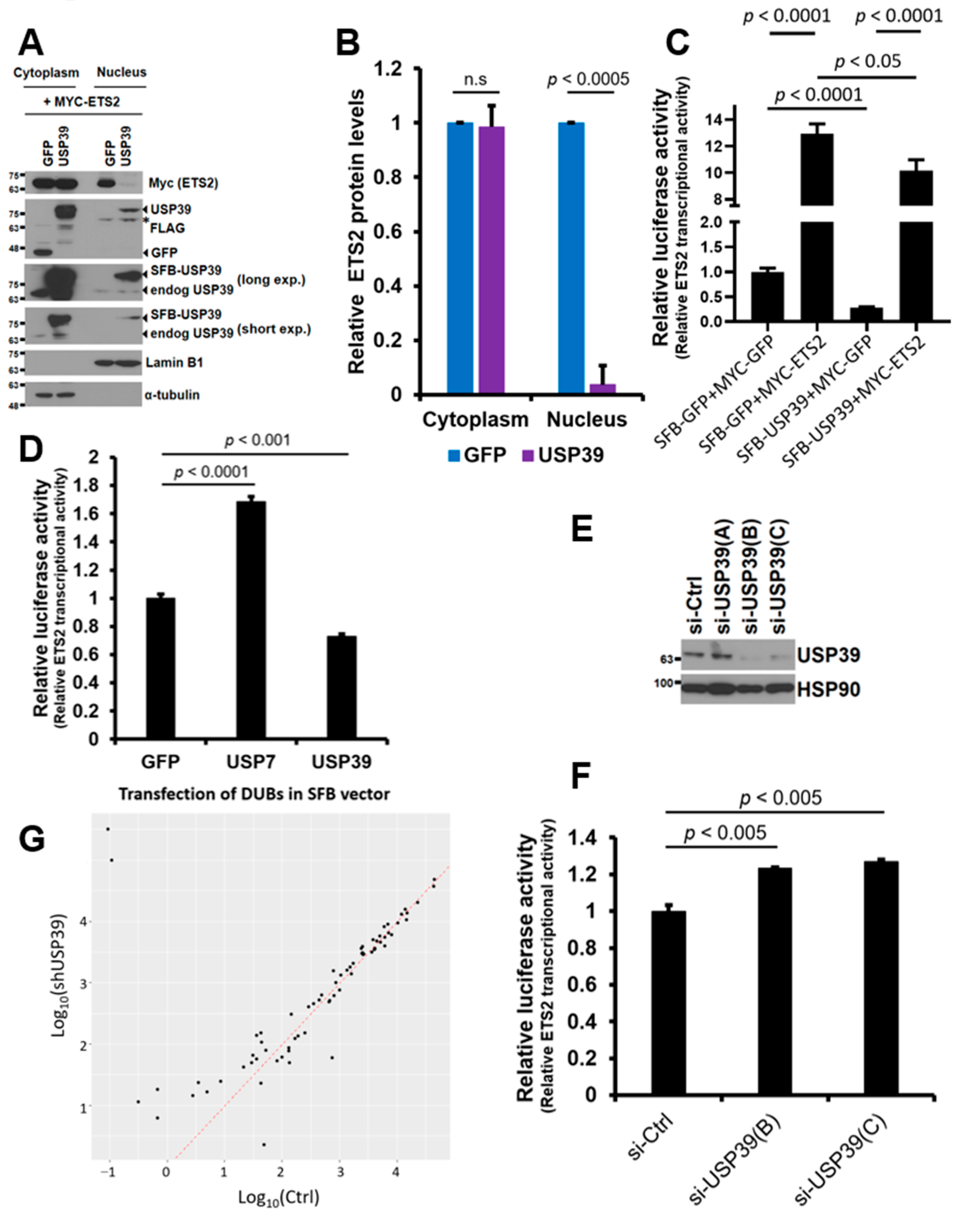 Biomolecules 13 01475 g005