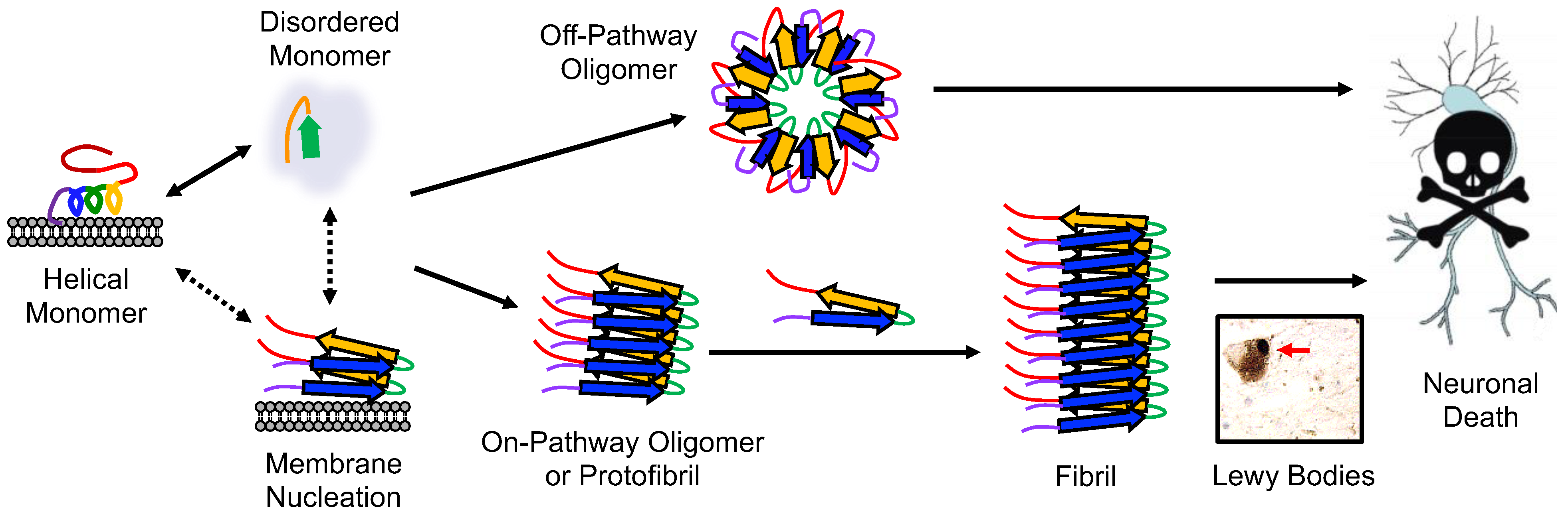 Biomolecules 13 01476 g001