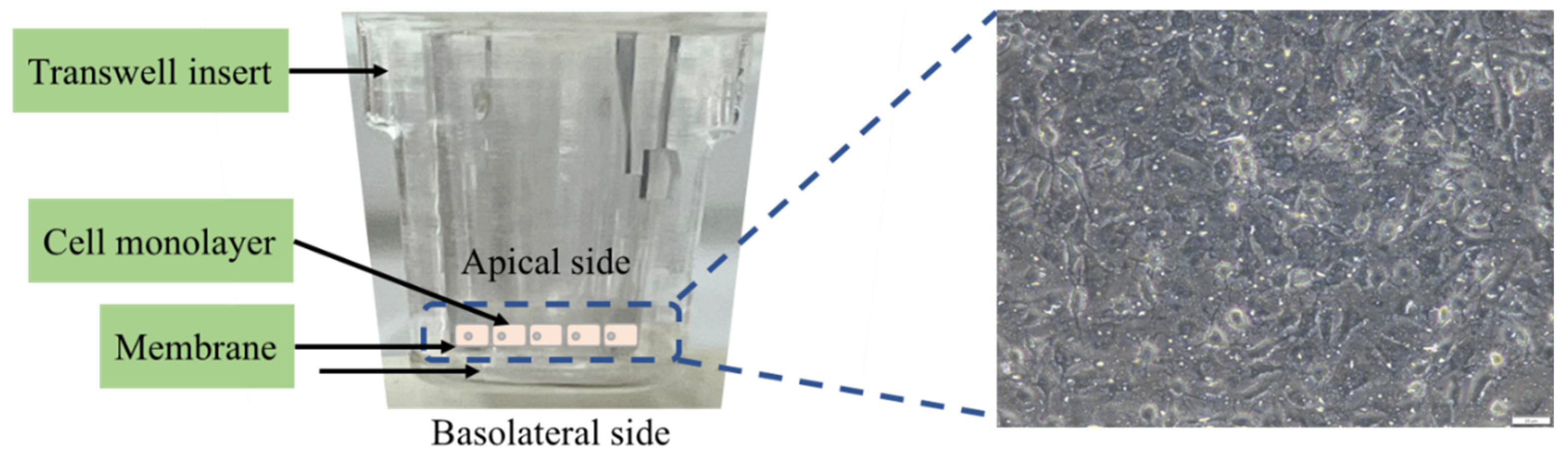 Biomolecules 13 01479 g001