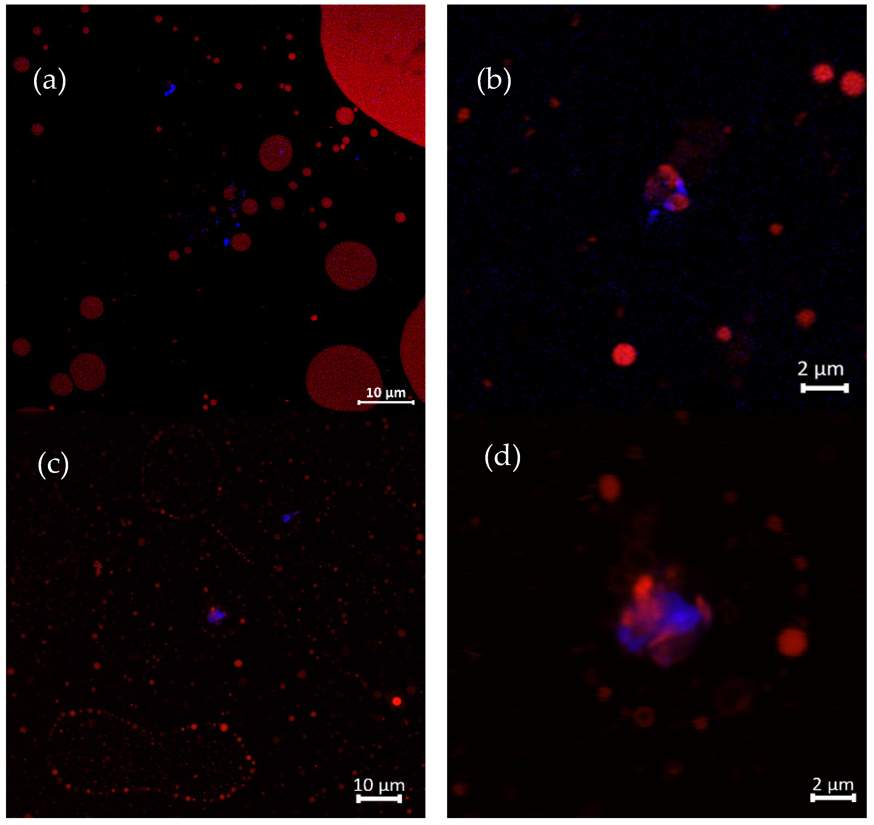 Biomolecules 13 01479 g006