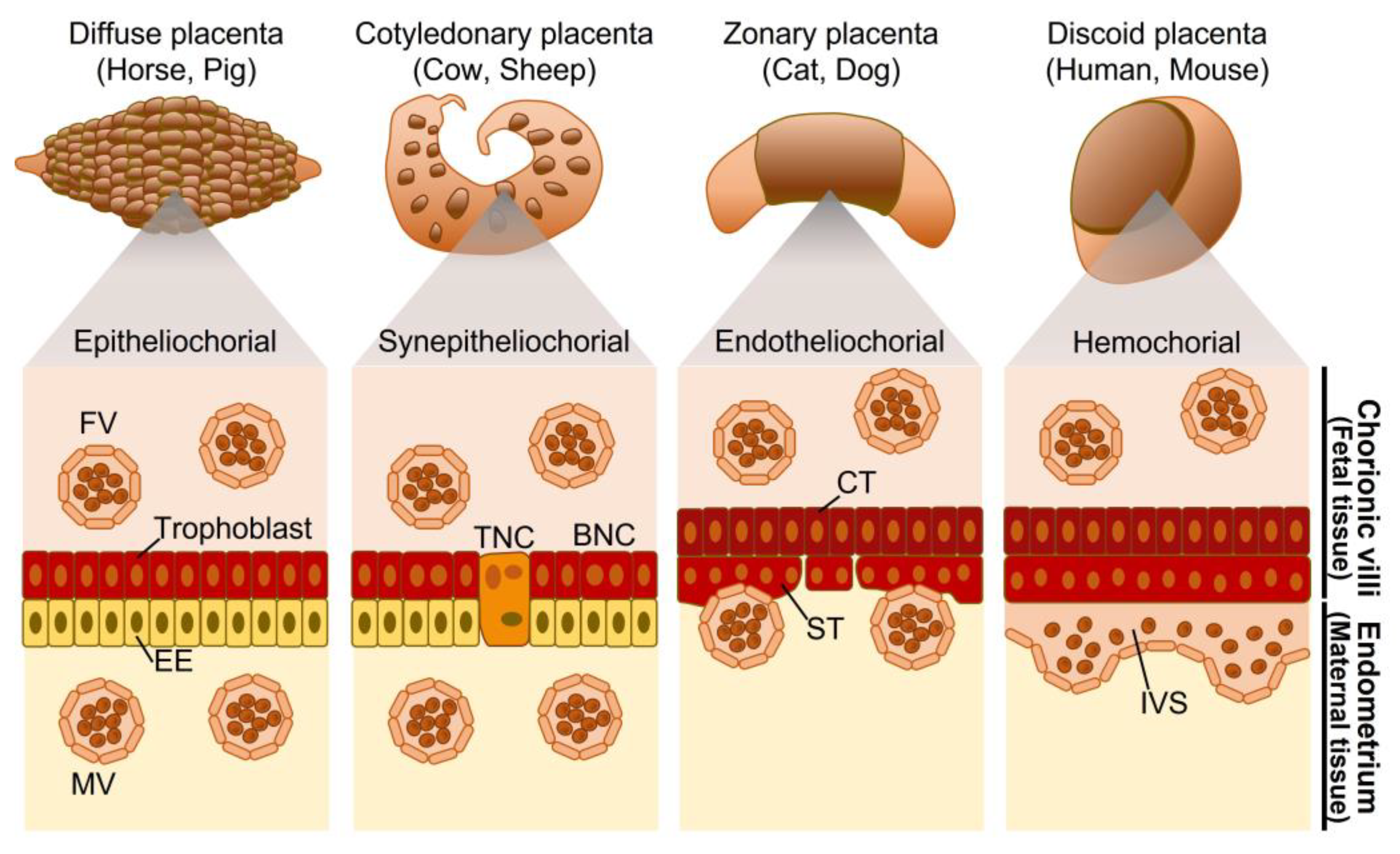 Biomolecules 13 01482 g001