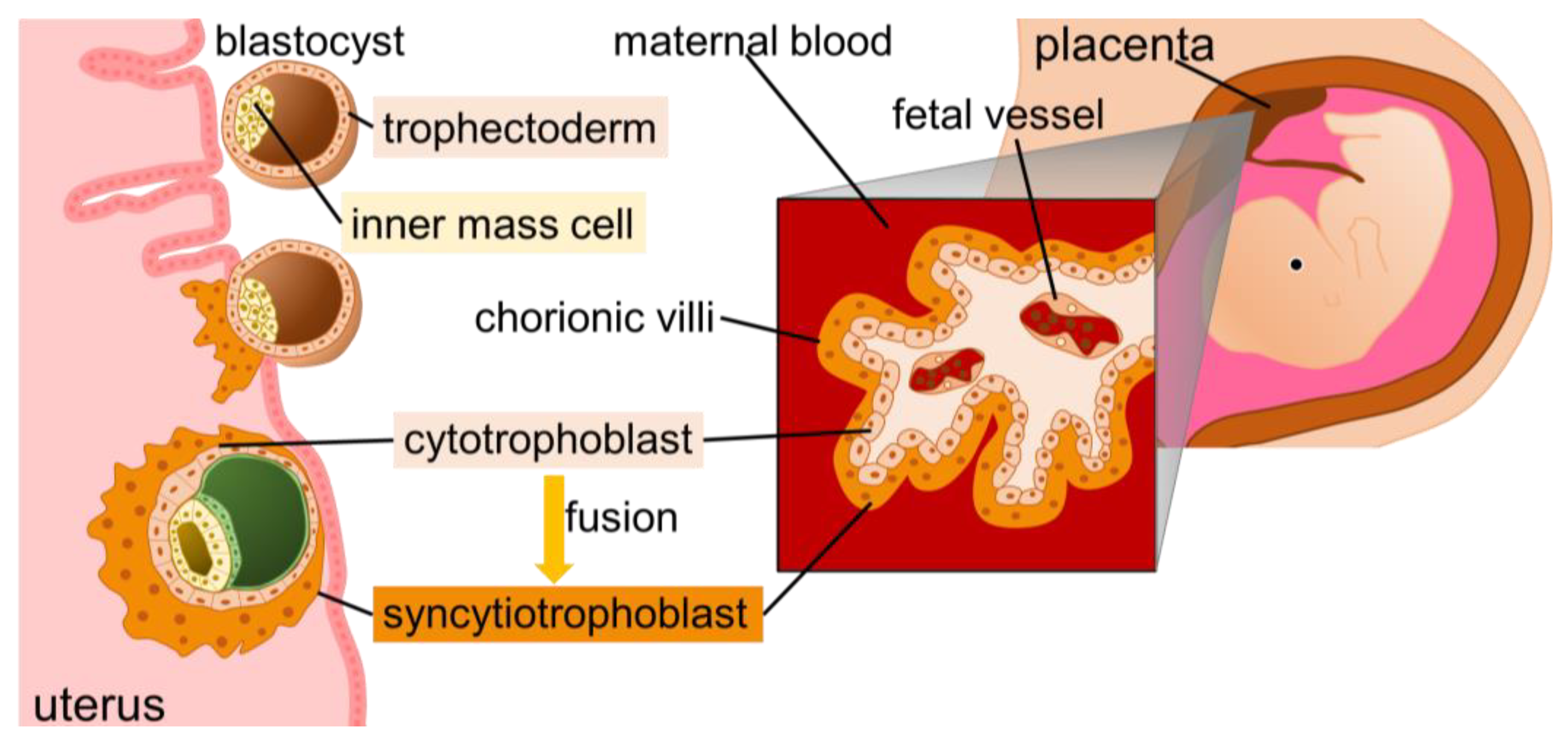 Biomolecules 13 01482 g002