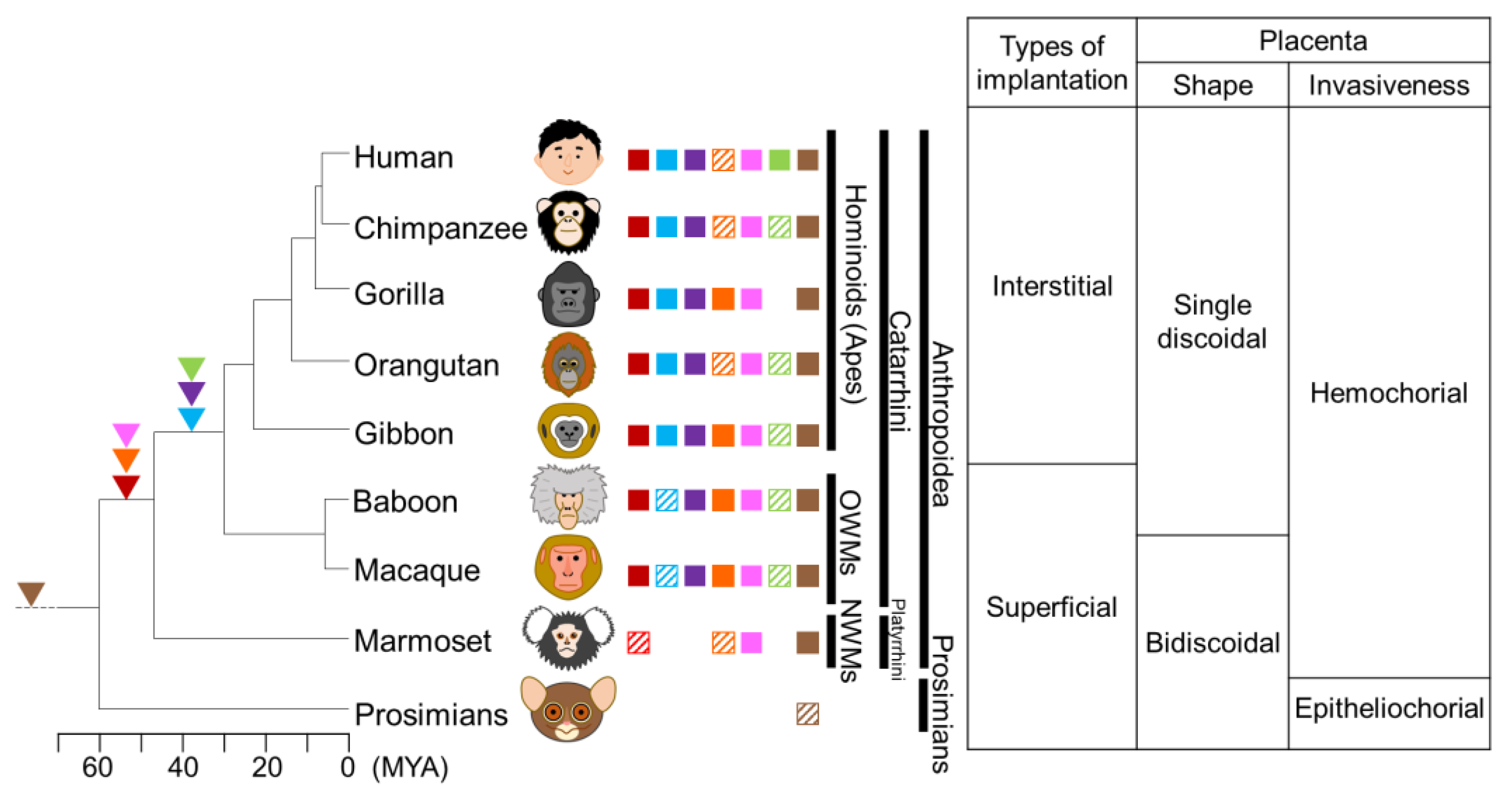 Biomolecules 13 01482 g003
