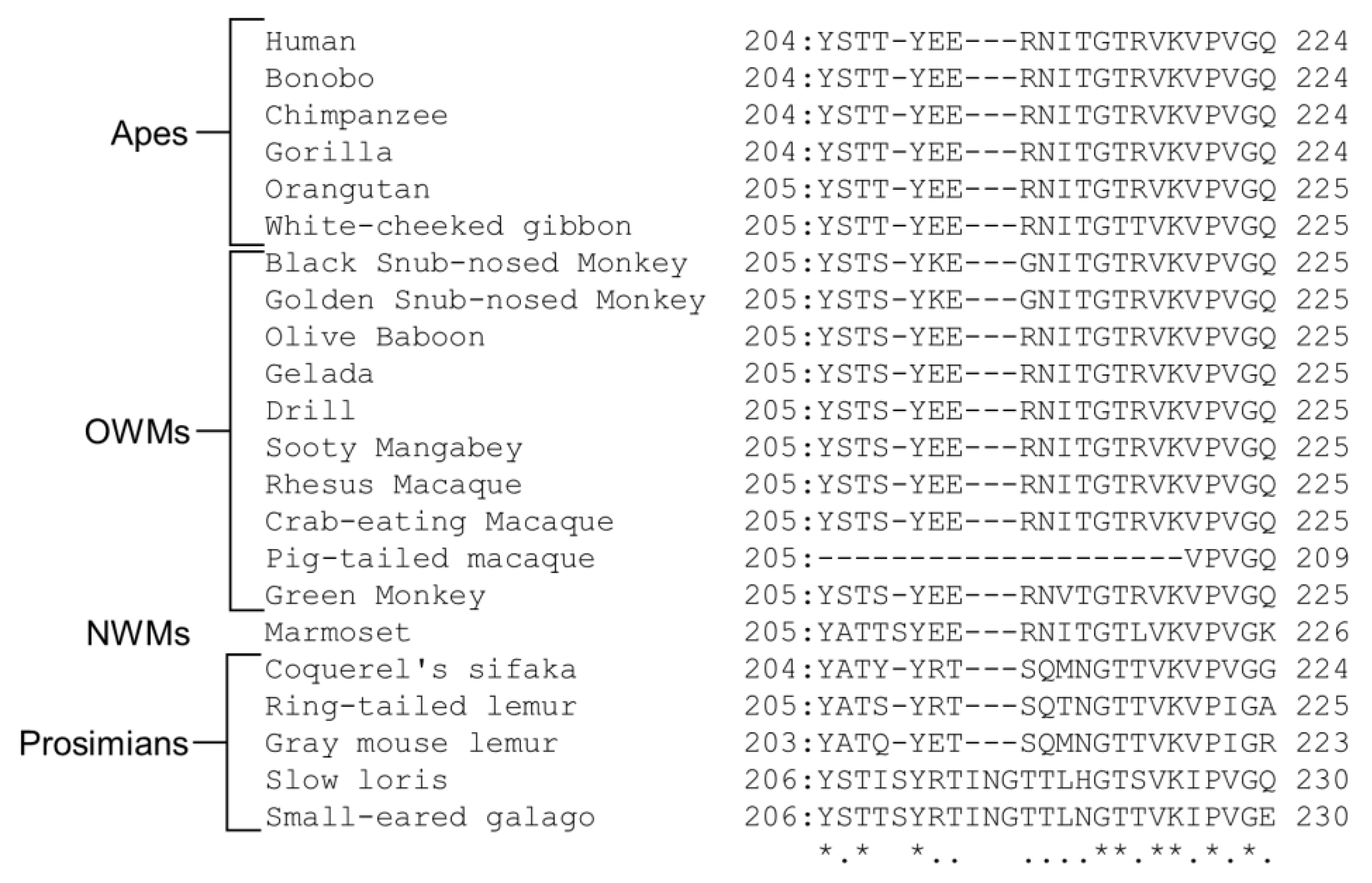 Biomolecules 13 01482 g004