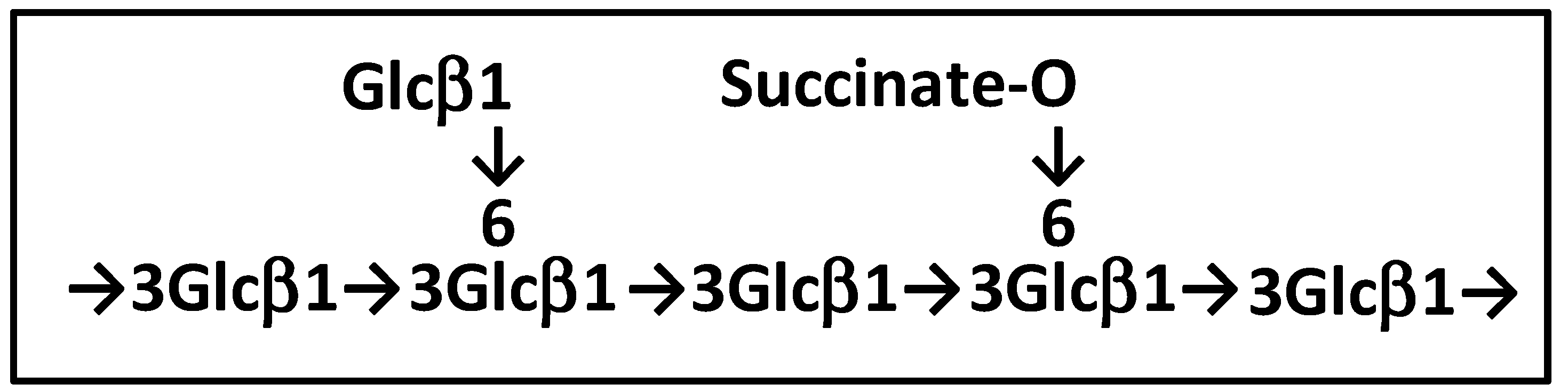 Biomolecules 13 01483 g002 Biomolecules 13 01483 g002