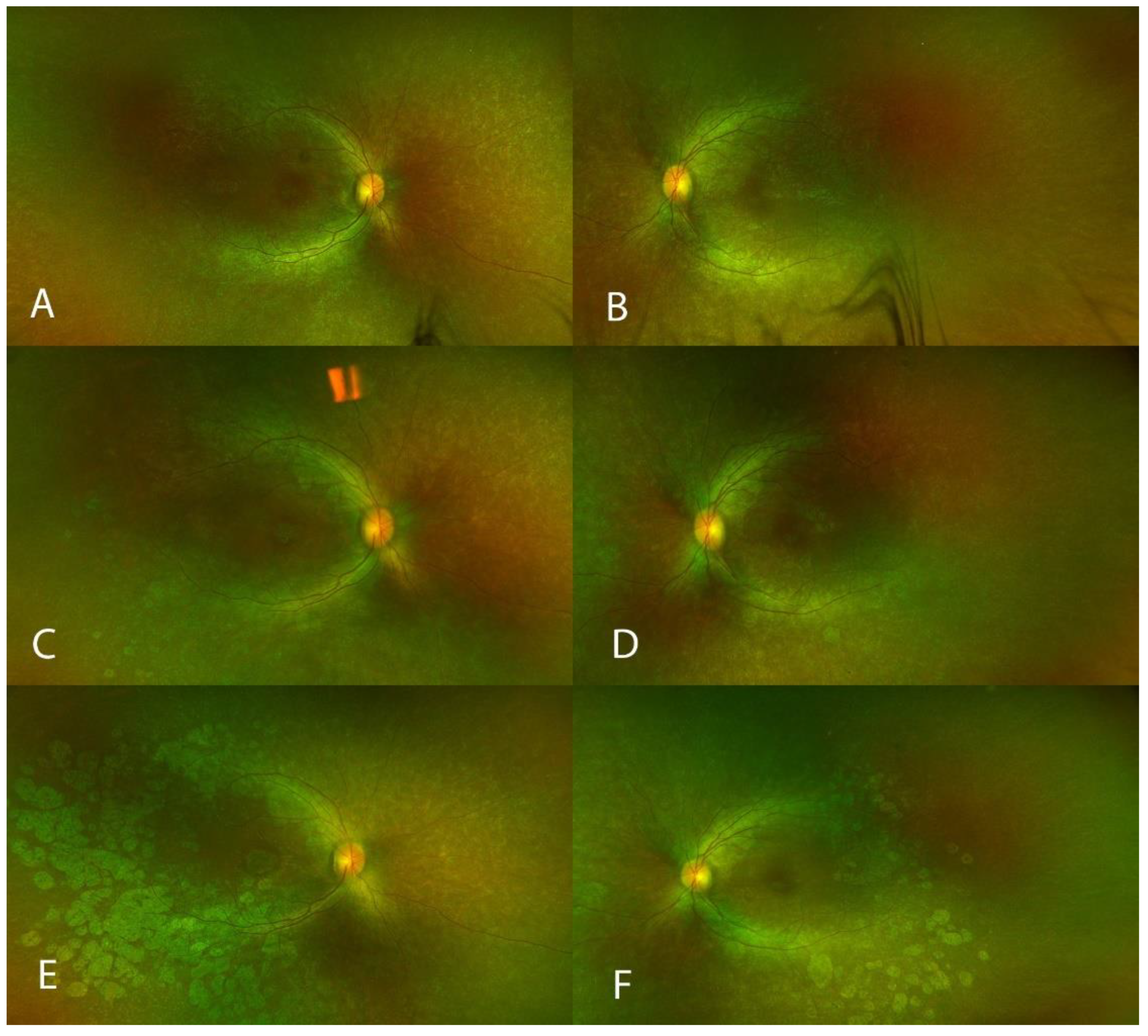Biomolecules 13 01484 g002
