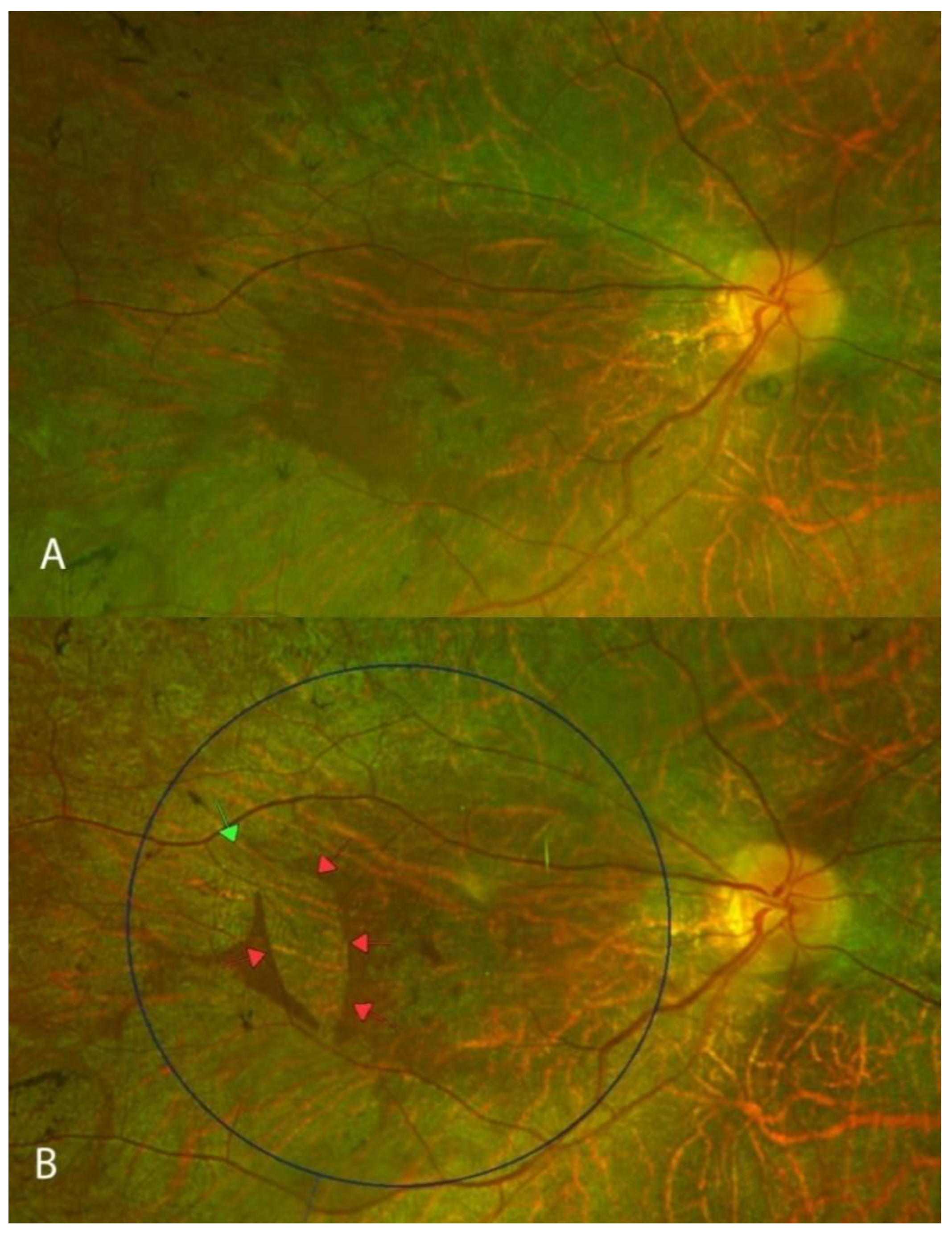 Biomolecules 13 01484 g004