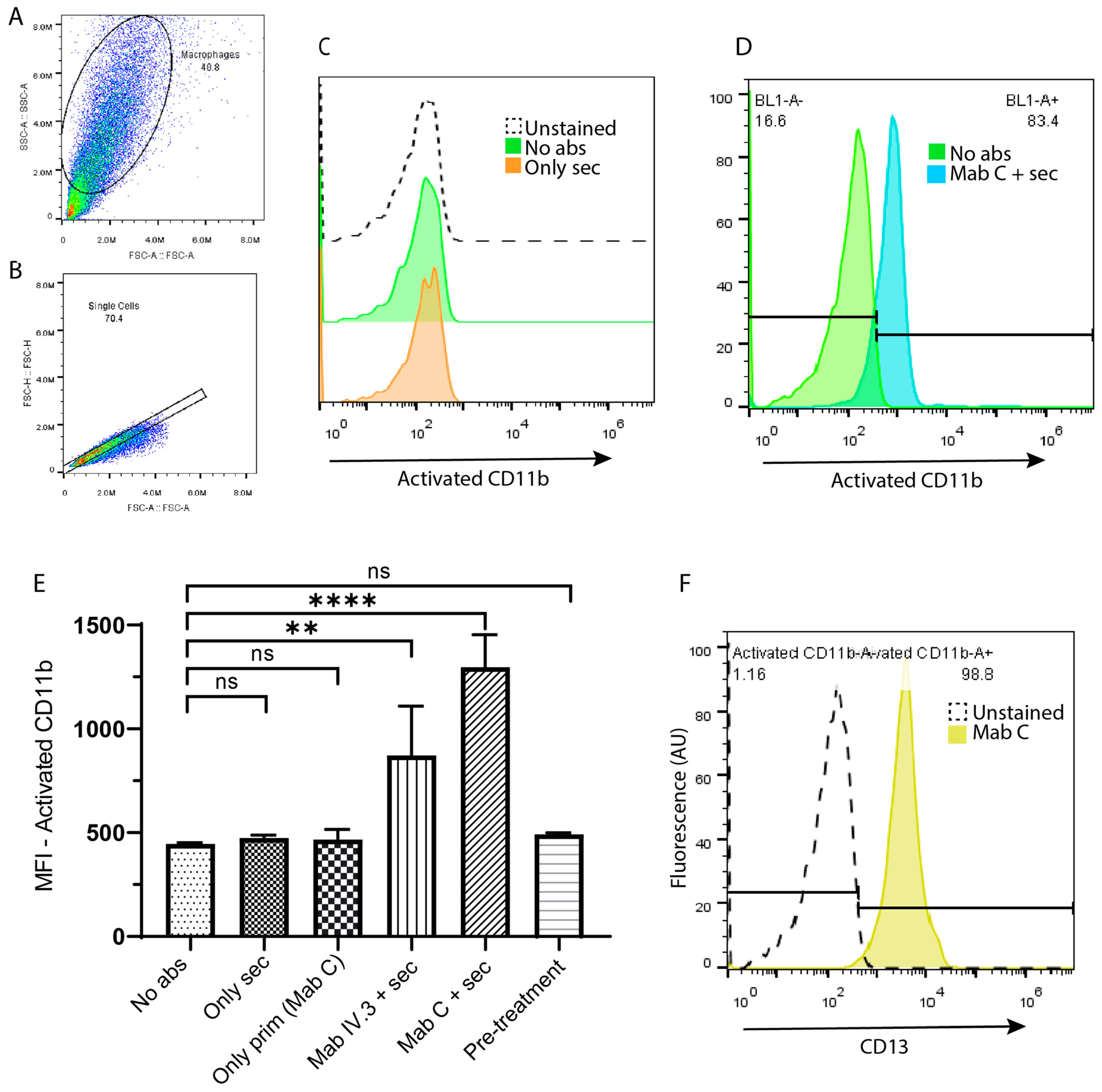 Biomolecules 13 01488 g001