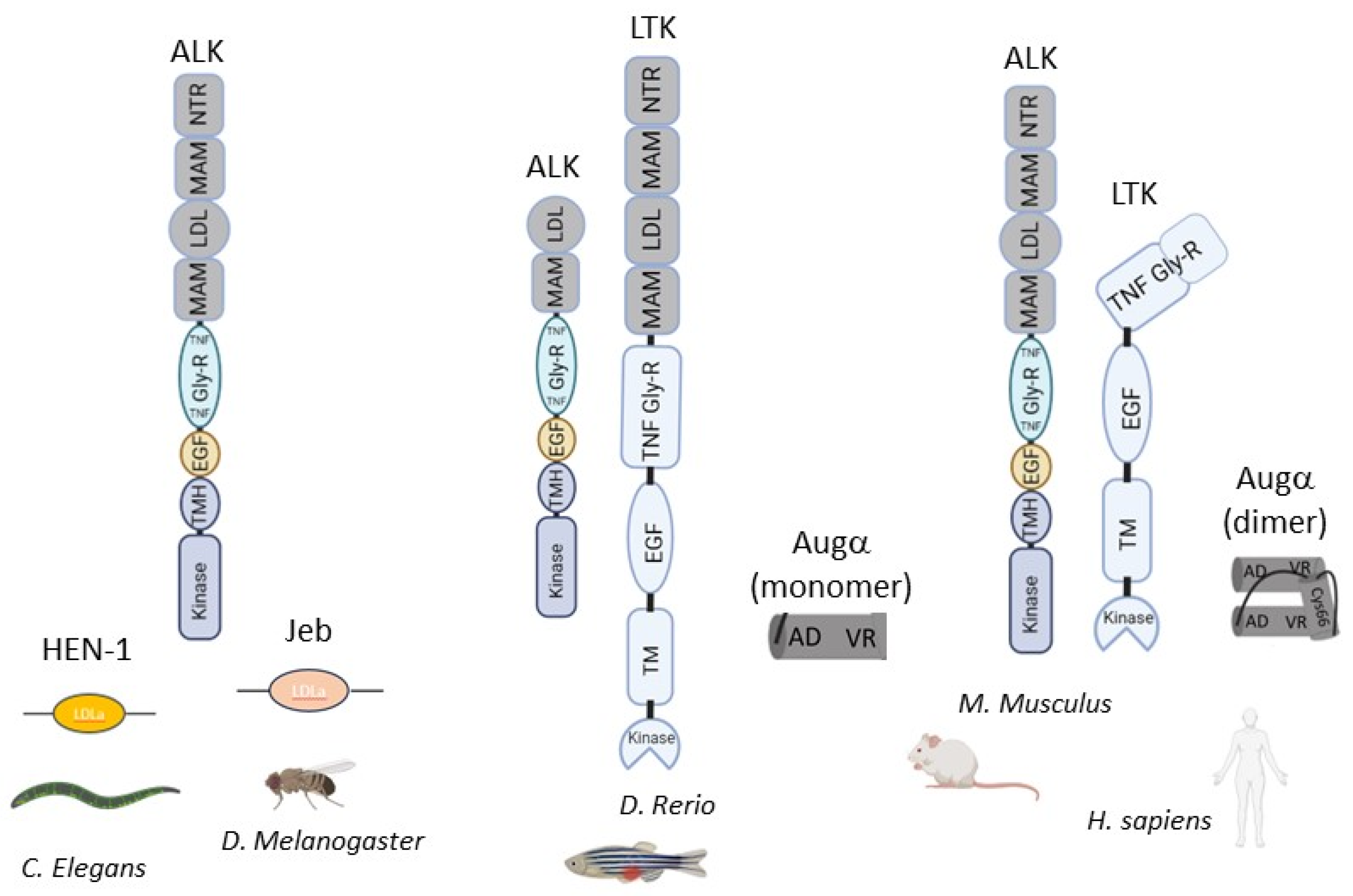 Biomolecules 13 01490 g001