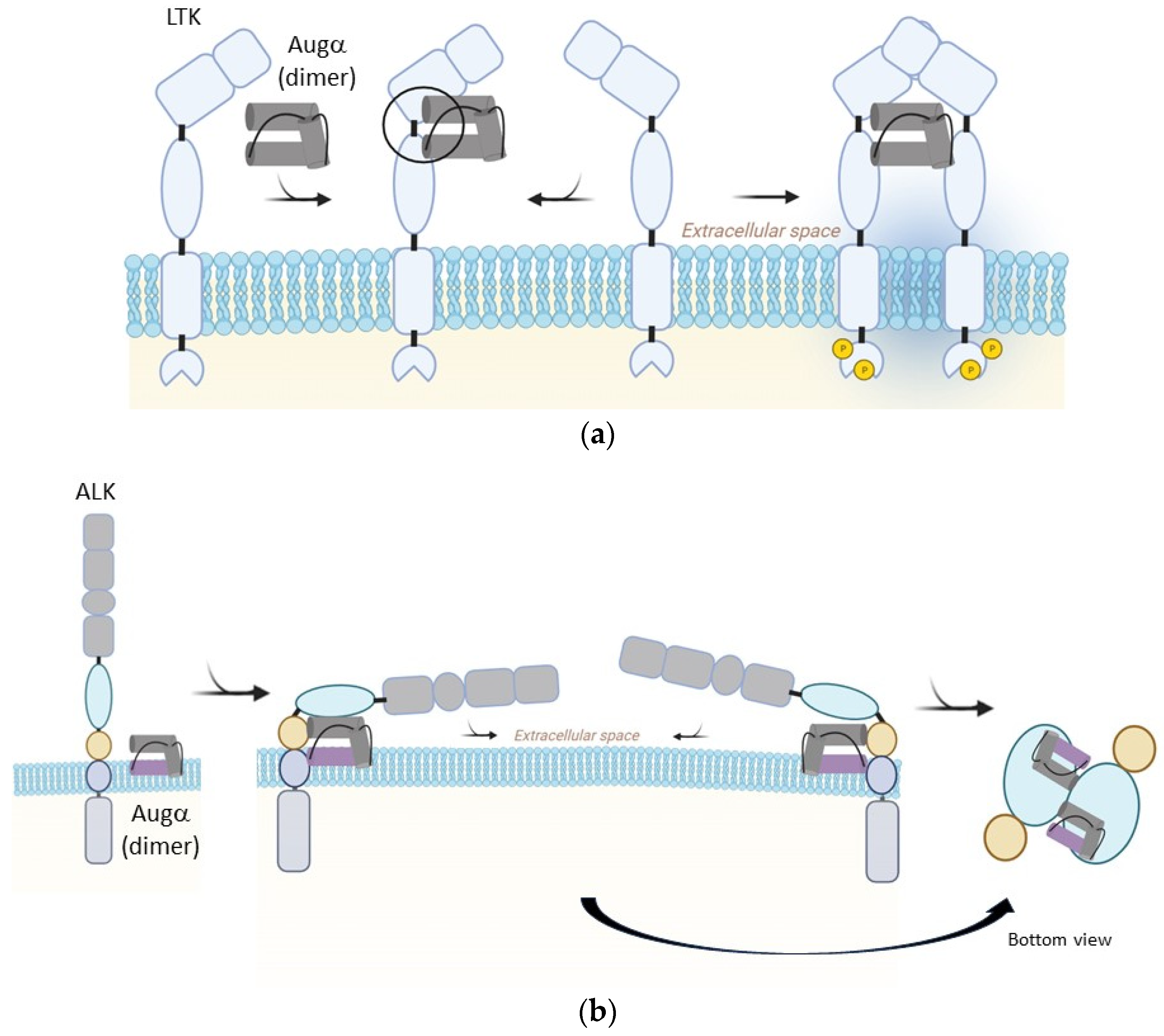 Biomolecules 13 01490 g002