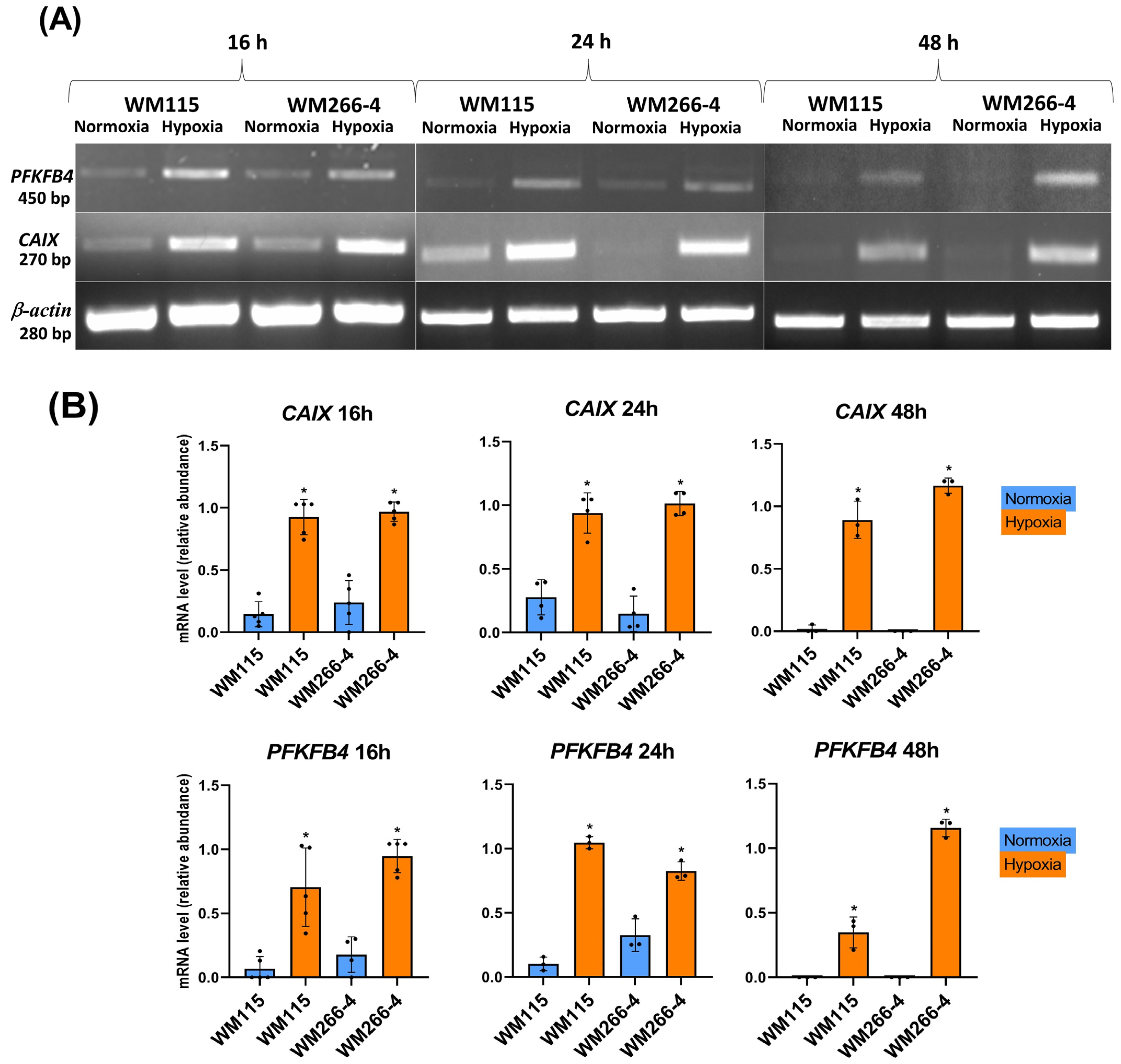 Biomolecules 13 01491 g001