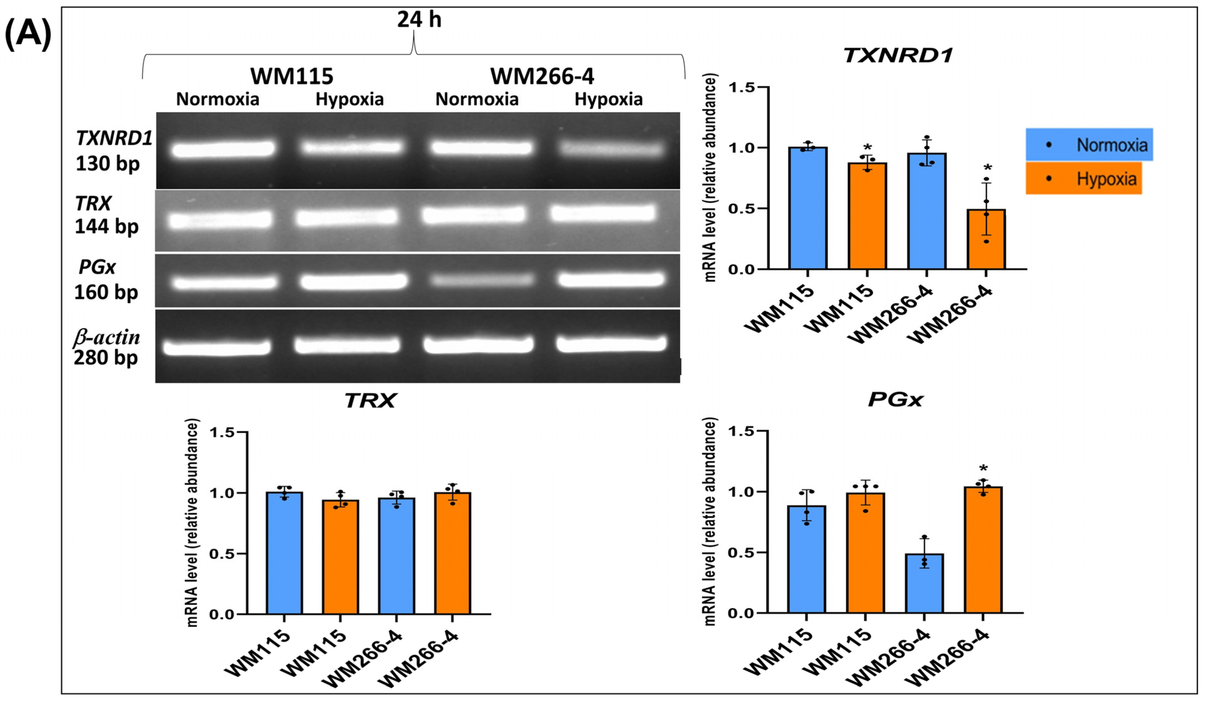 Biomolecules 13 01491 g007a