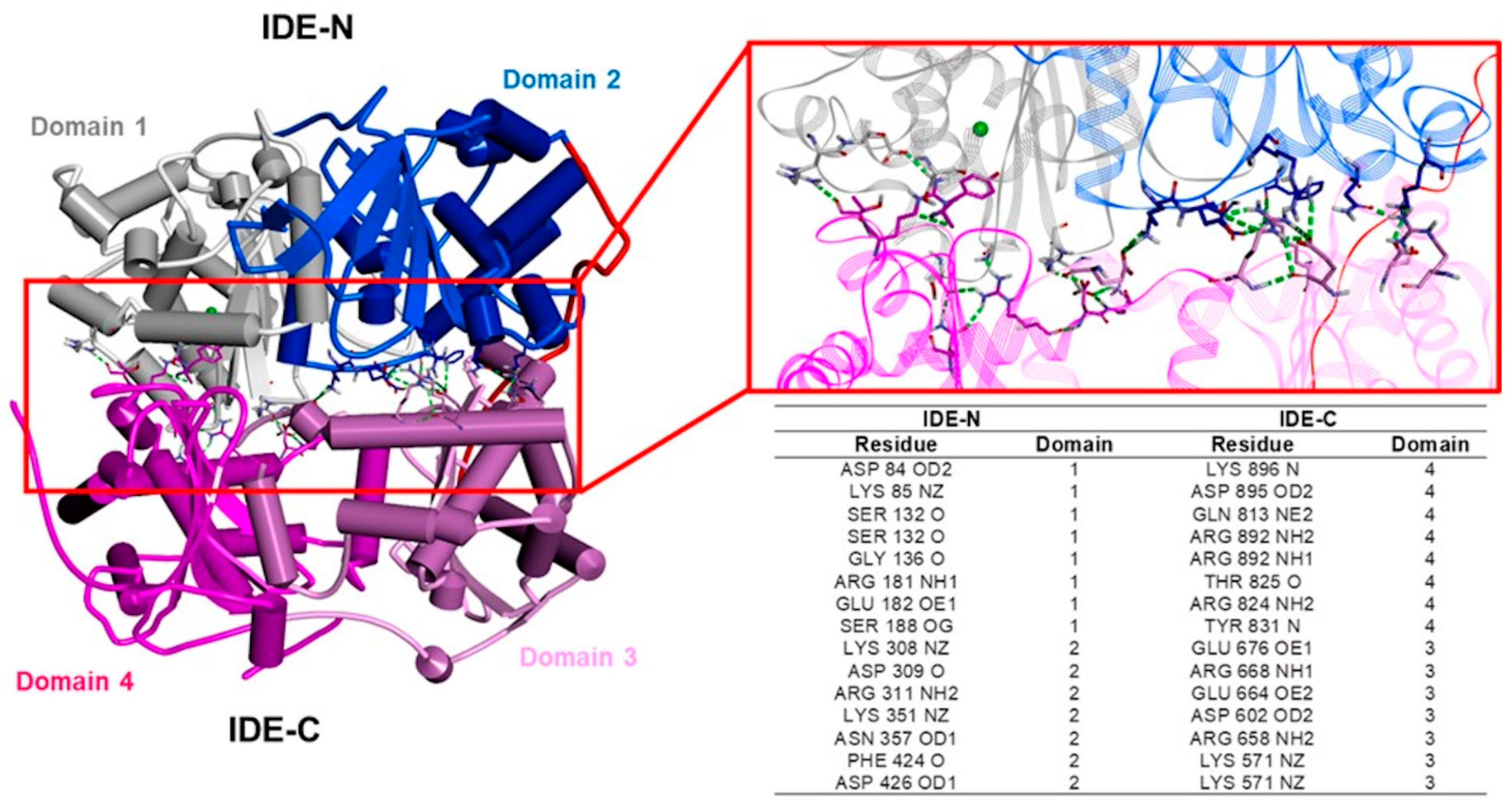 Biomolecules 13 01492 g003