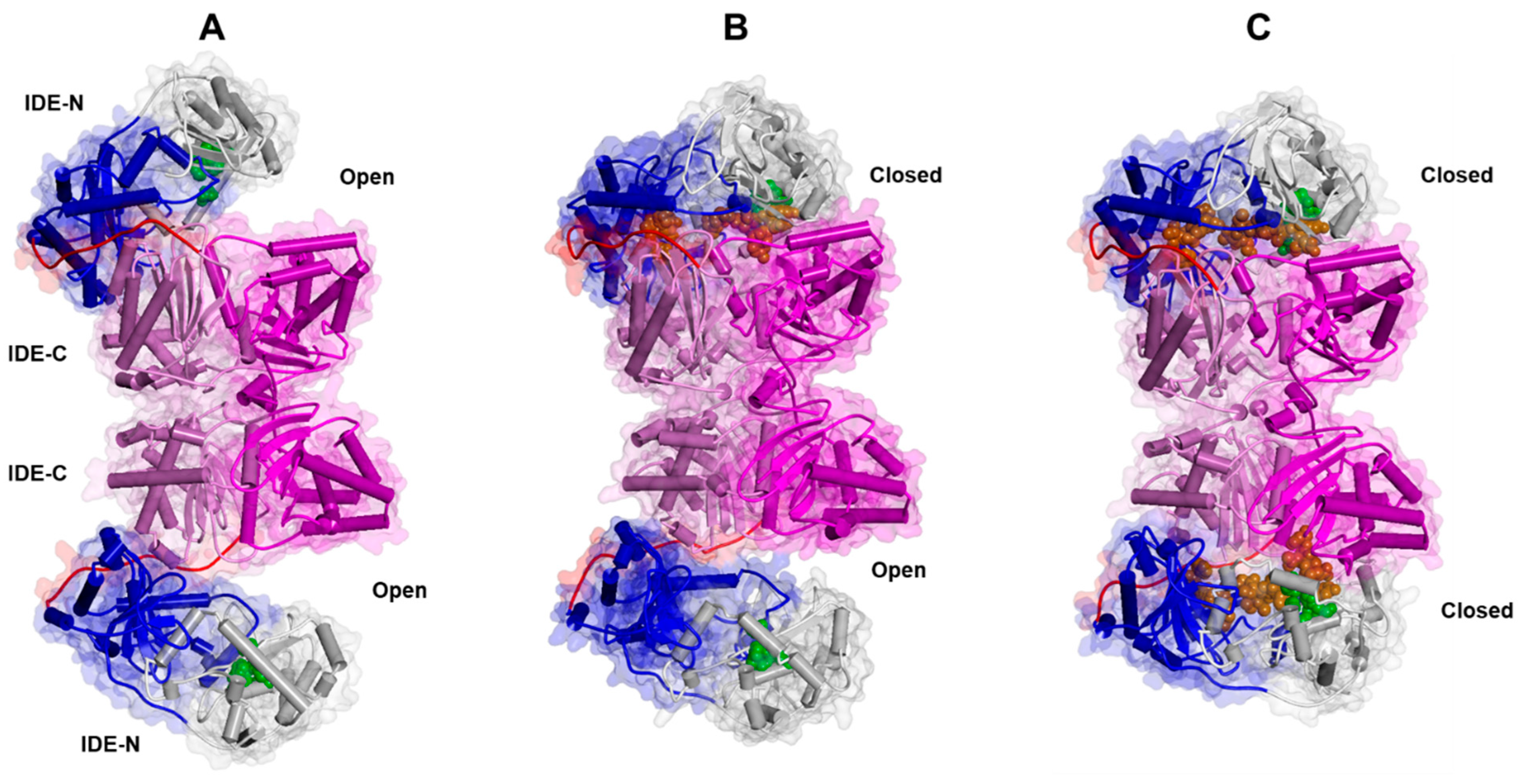 Biomolecules 13 01492 g004