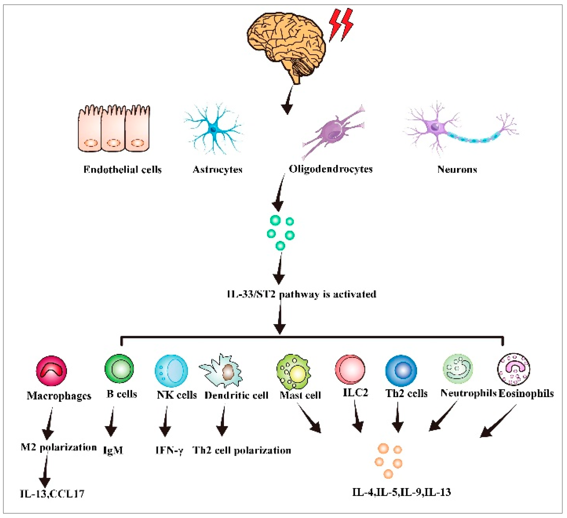 Biomolecules 13 01494 g002