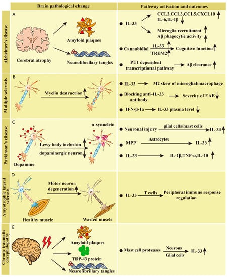 Biomolecules 13 01494 g003
