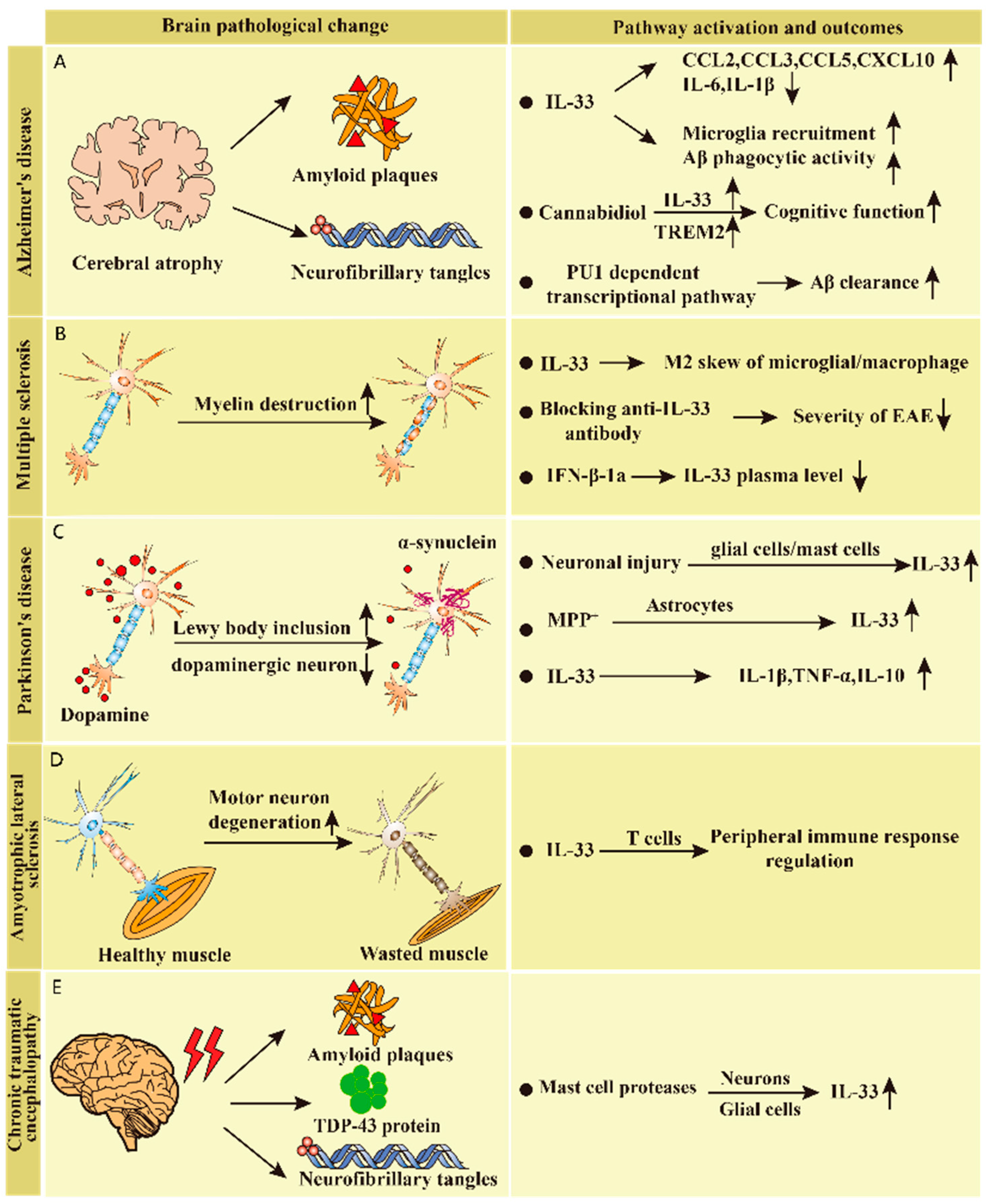 Biomolecules 13 01494 g003
