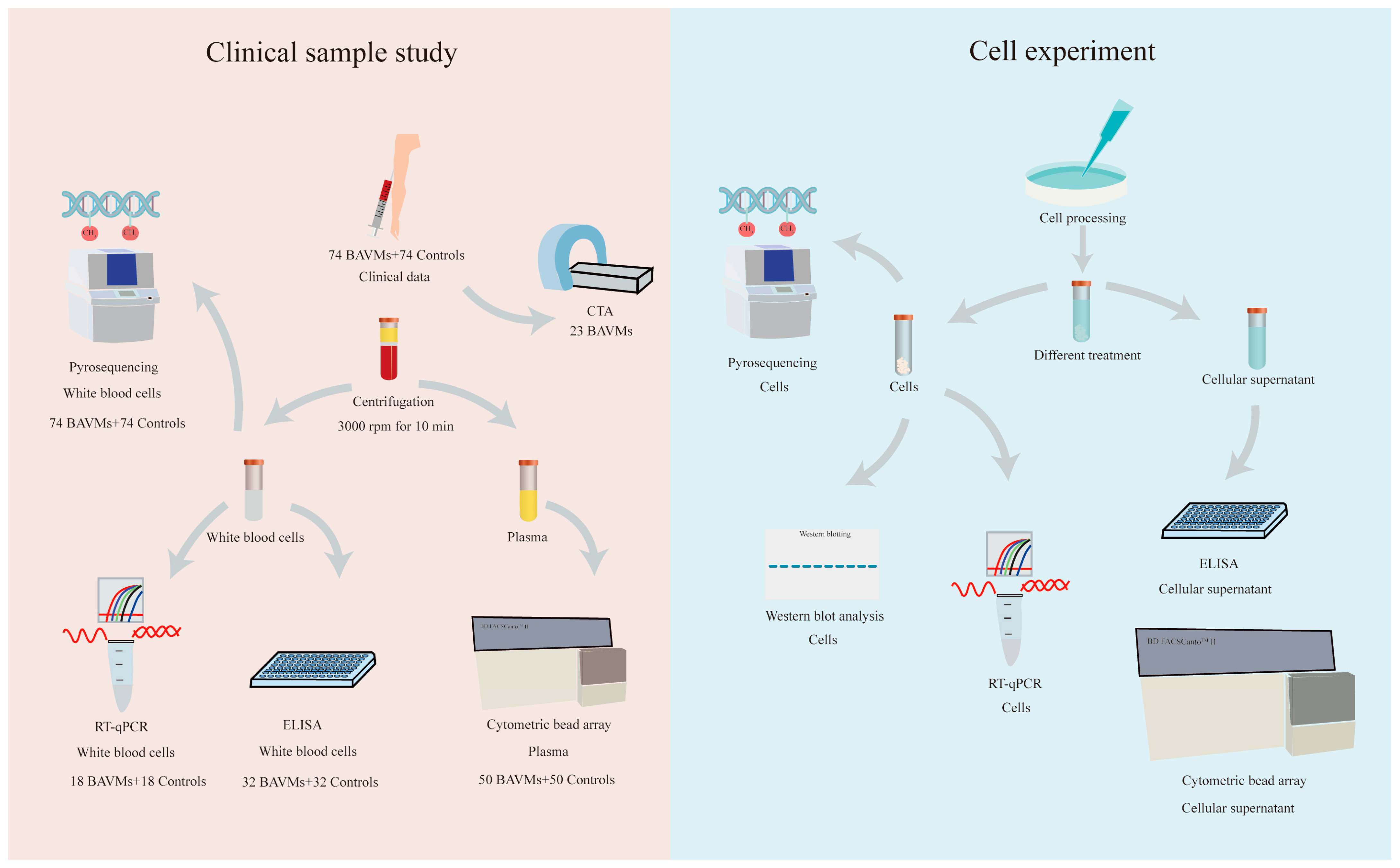 Biomolecules 13 01495 g001