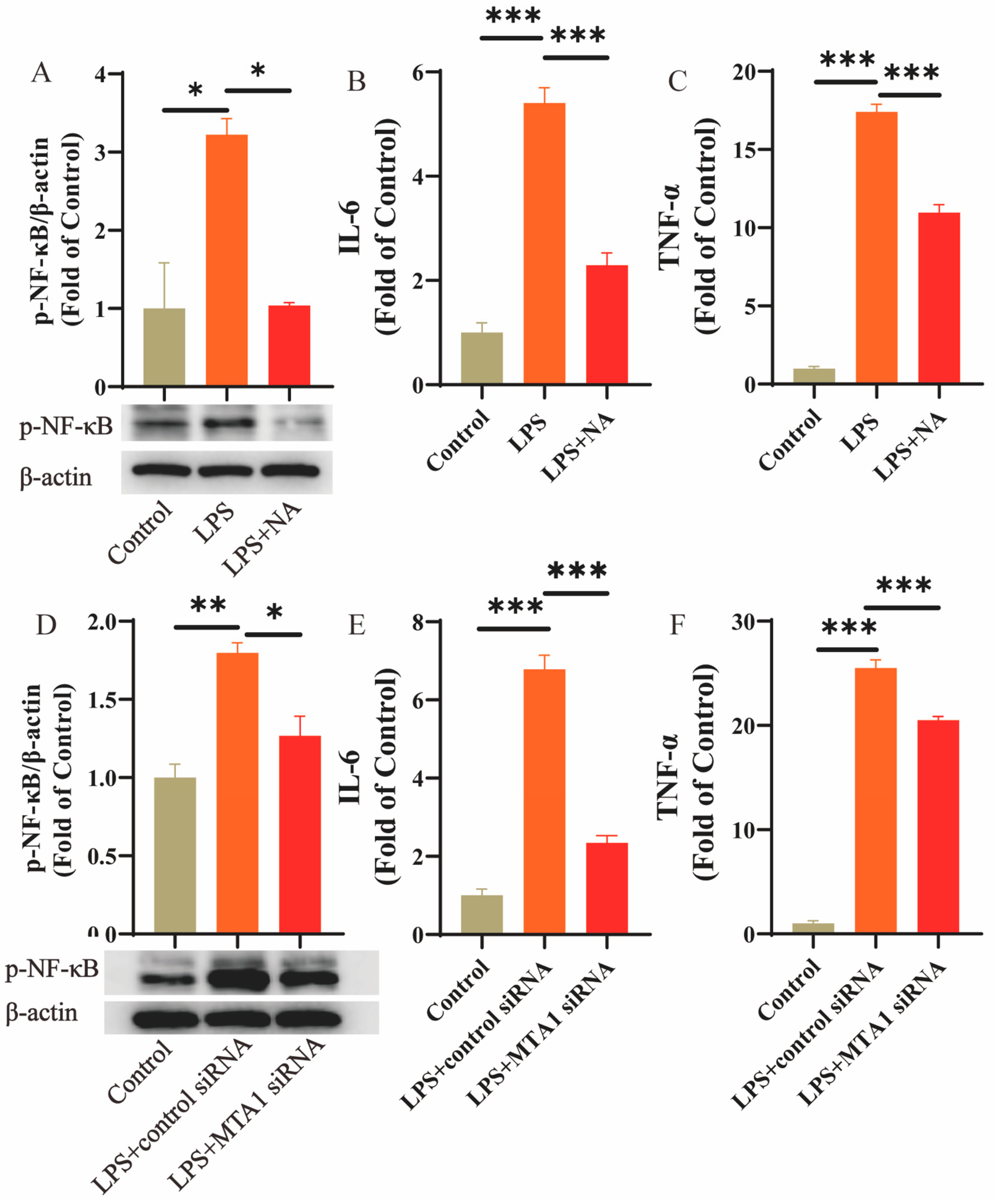 Biomolecules 13 01495 g006