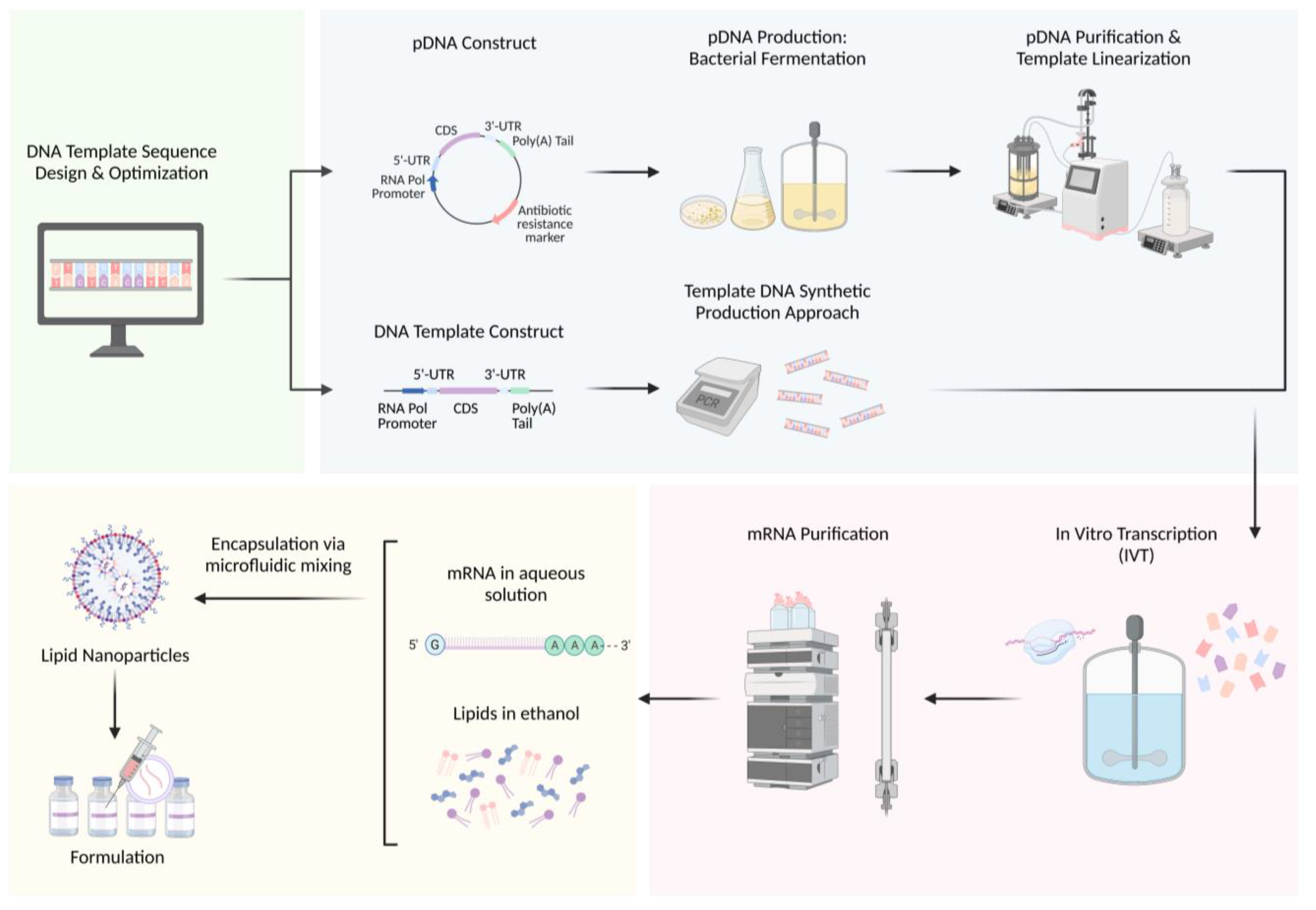 Biomolecules 13 01497 g003