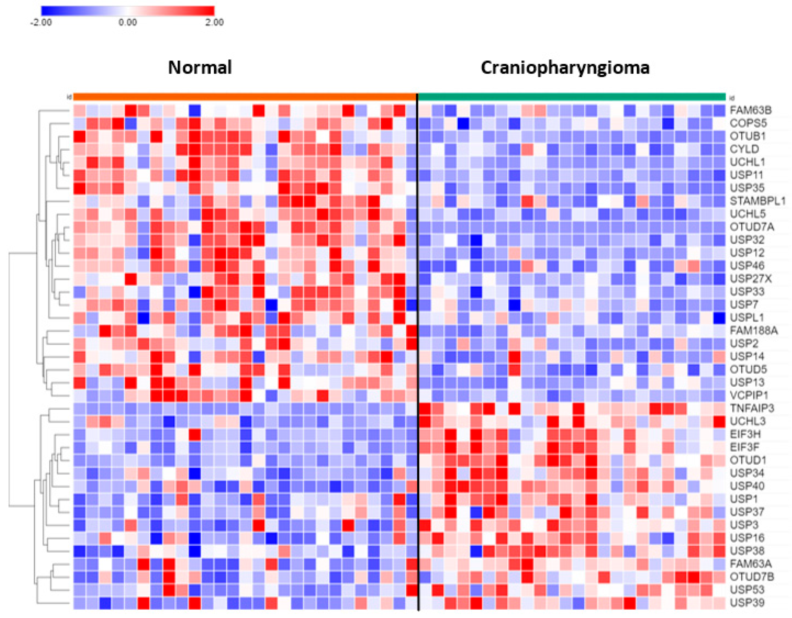 Biomolecules 13 01503 g008