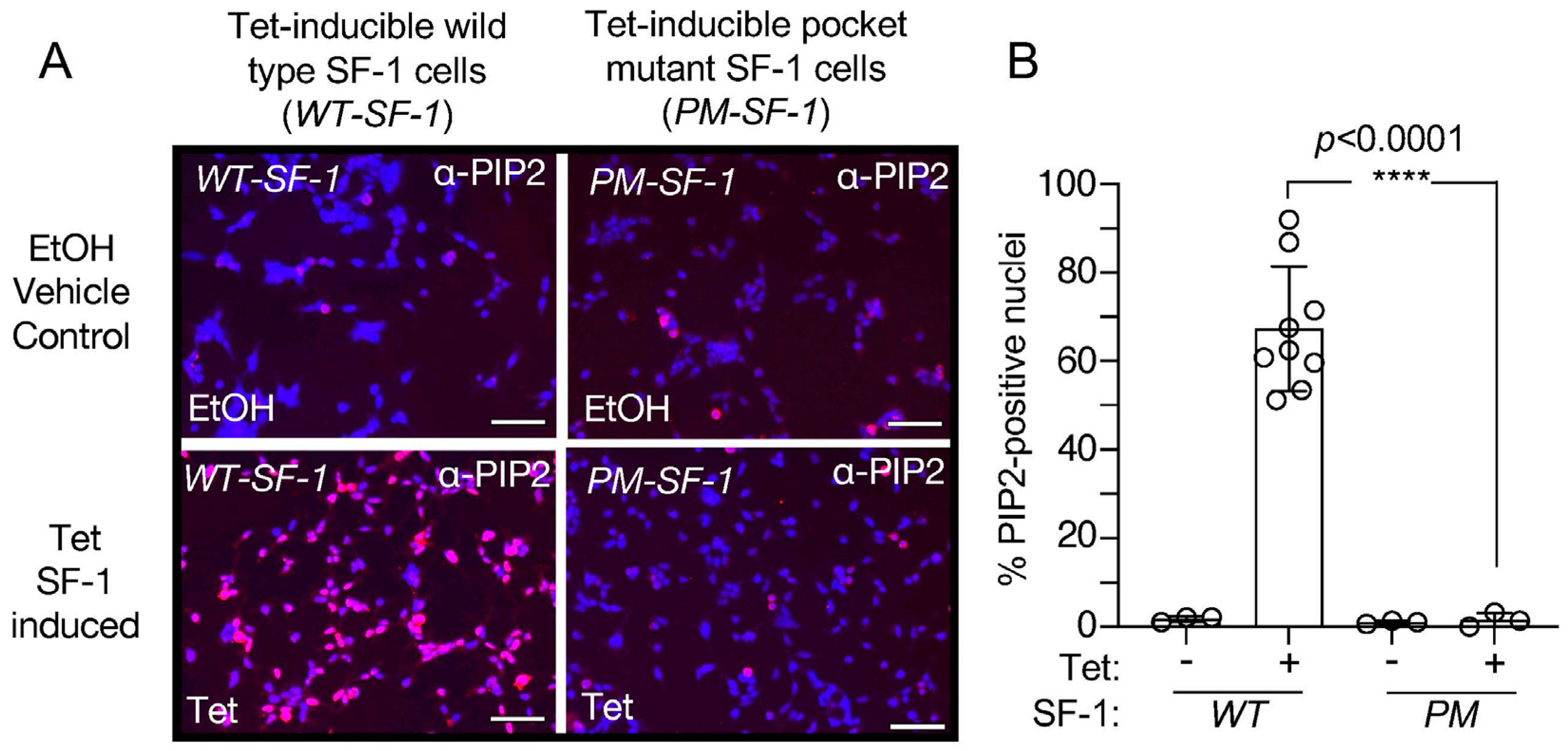 Biomolecules 13 01509 g005