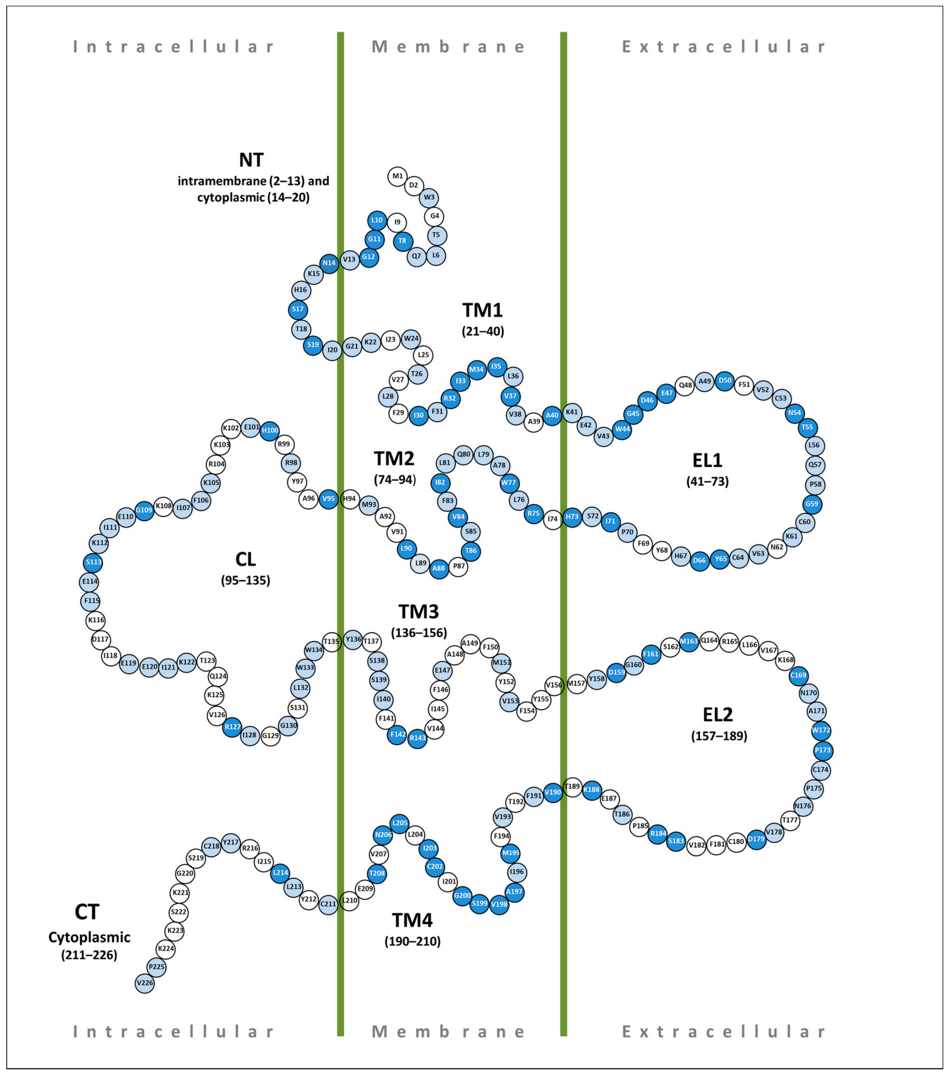 Biomolecules 13 01521 g002