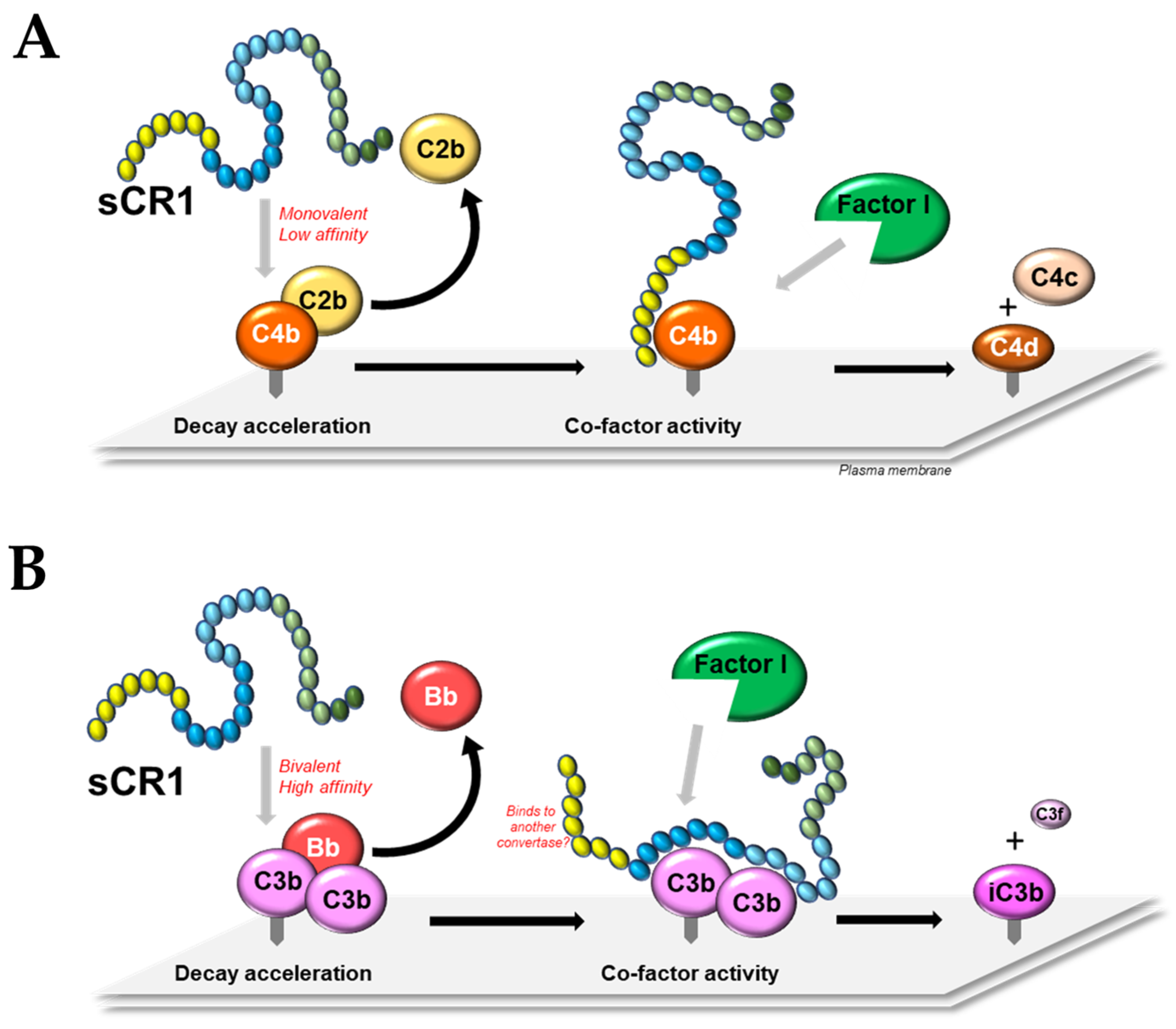 Biomolecules 13 01522 g002