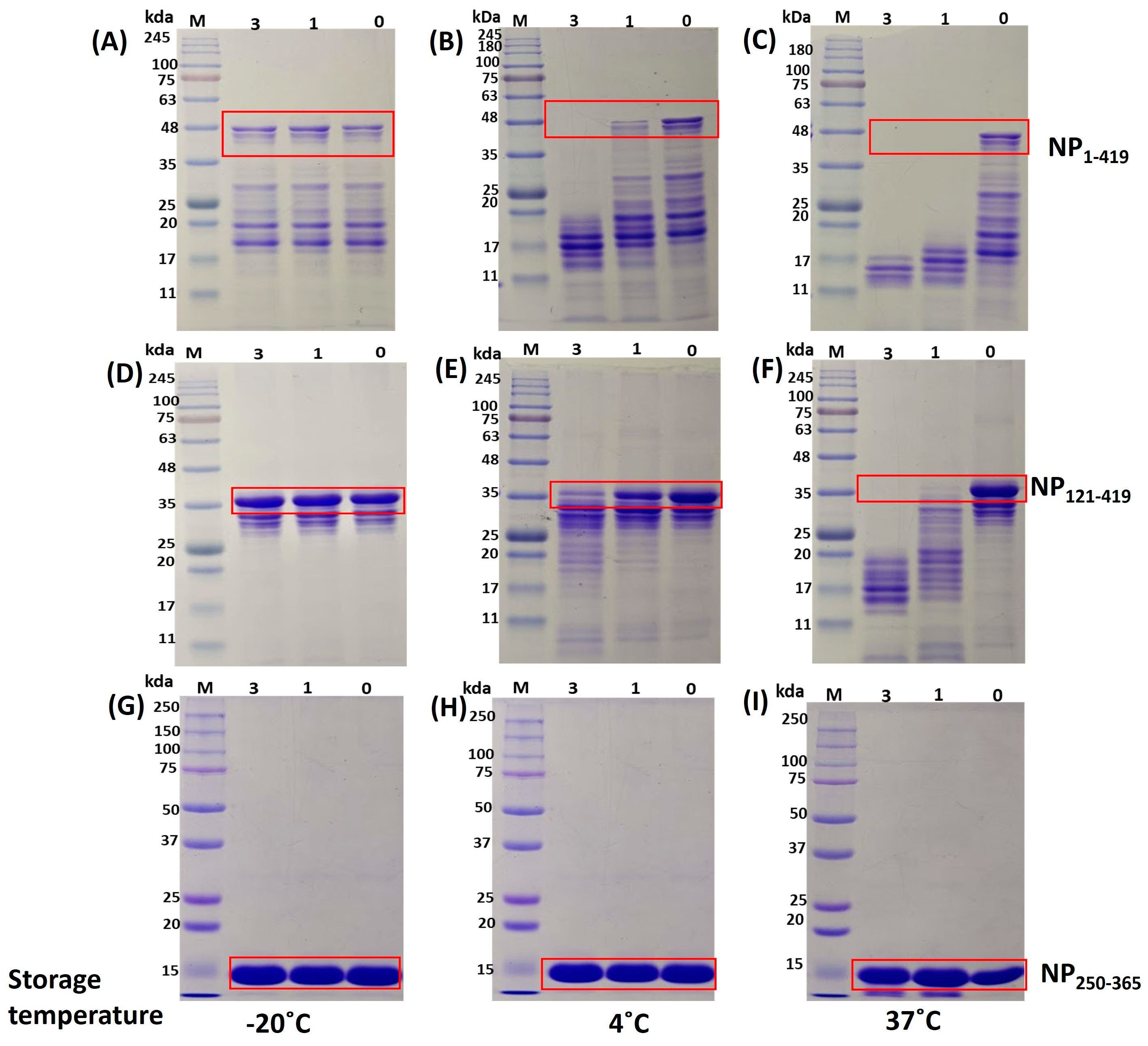 Biomolecules 13 01524 g007 Biomolecules 13 01524 g007