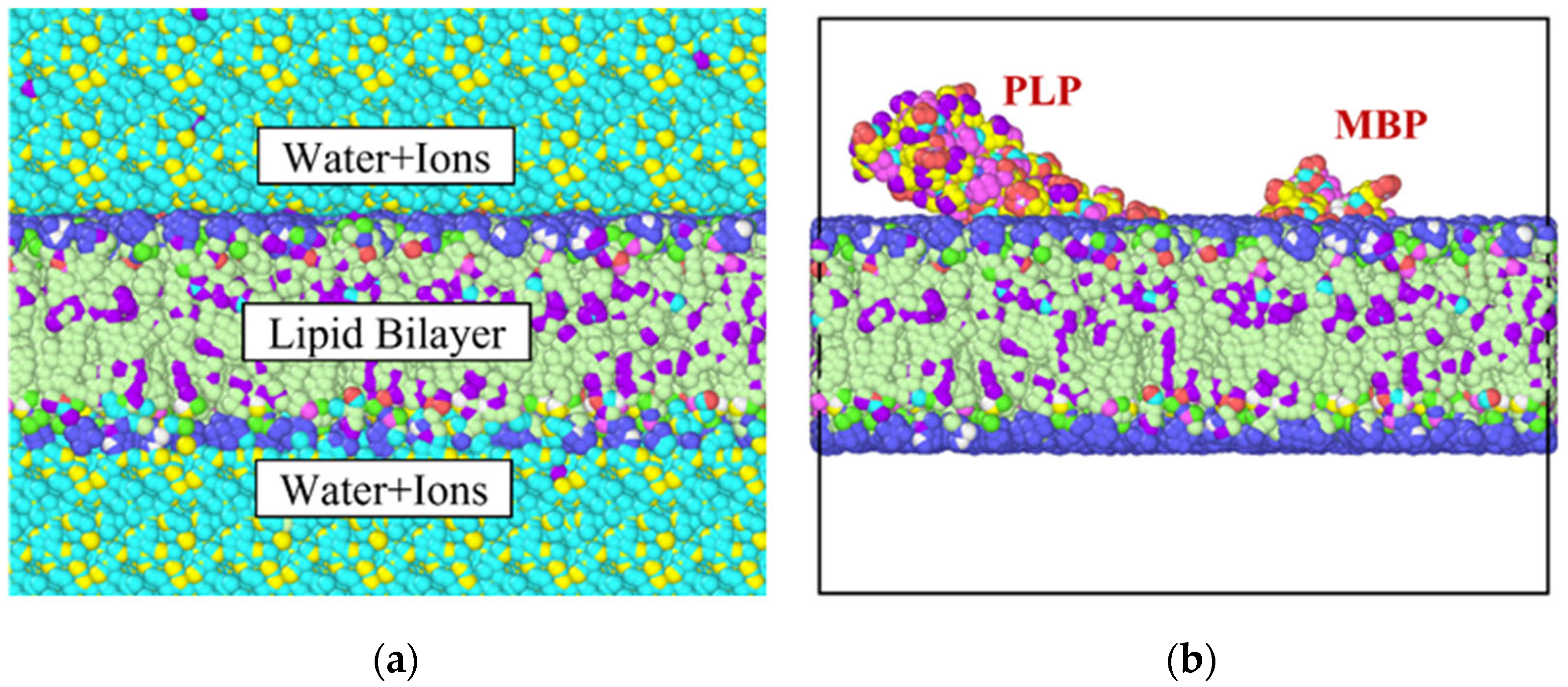 Biomolecules 13 01525 g001