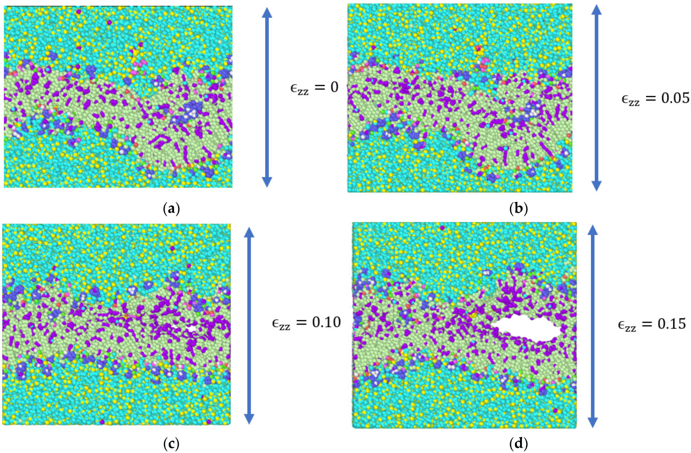 Biomolecules 13 01525 g003a