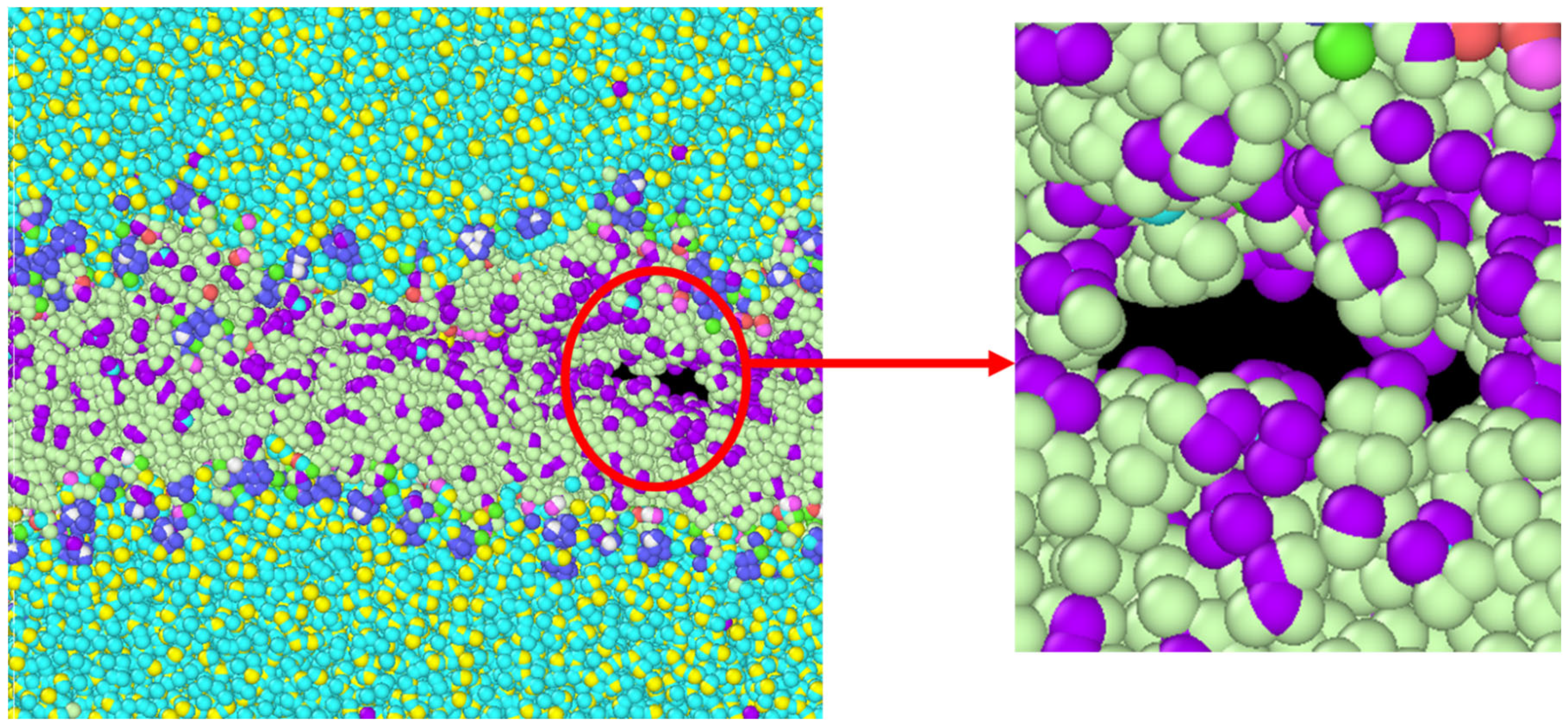 Biomolecules 13 01525 g006