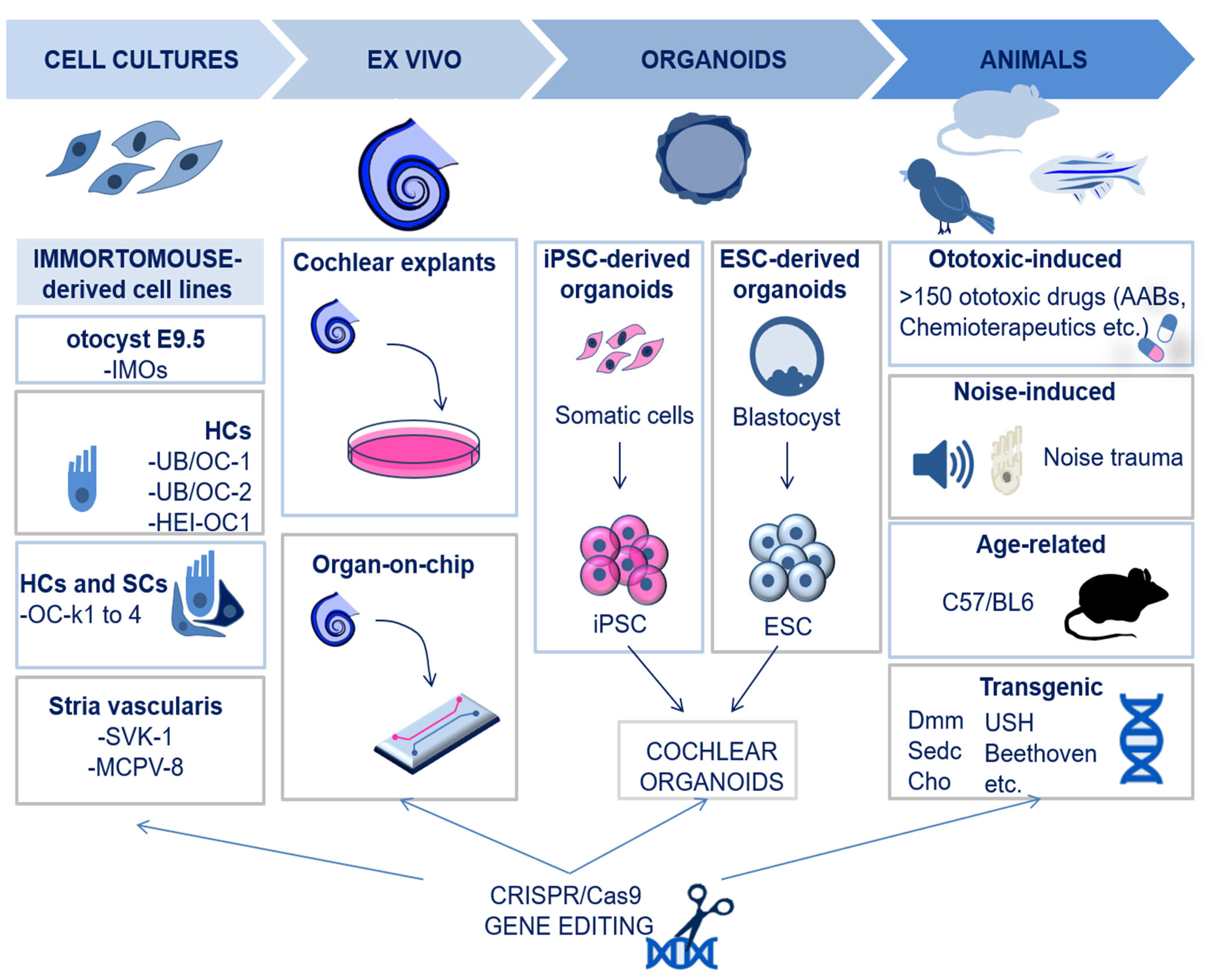 Biomolecules 13 01534 g001 Biomolecules 13 01534 g001