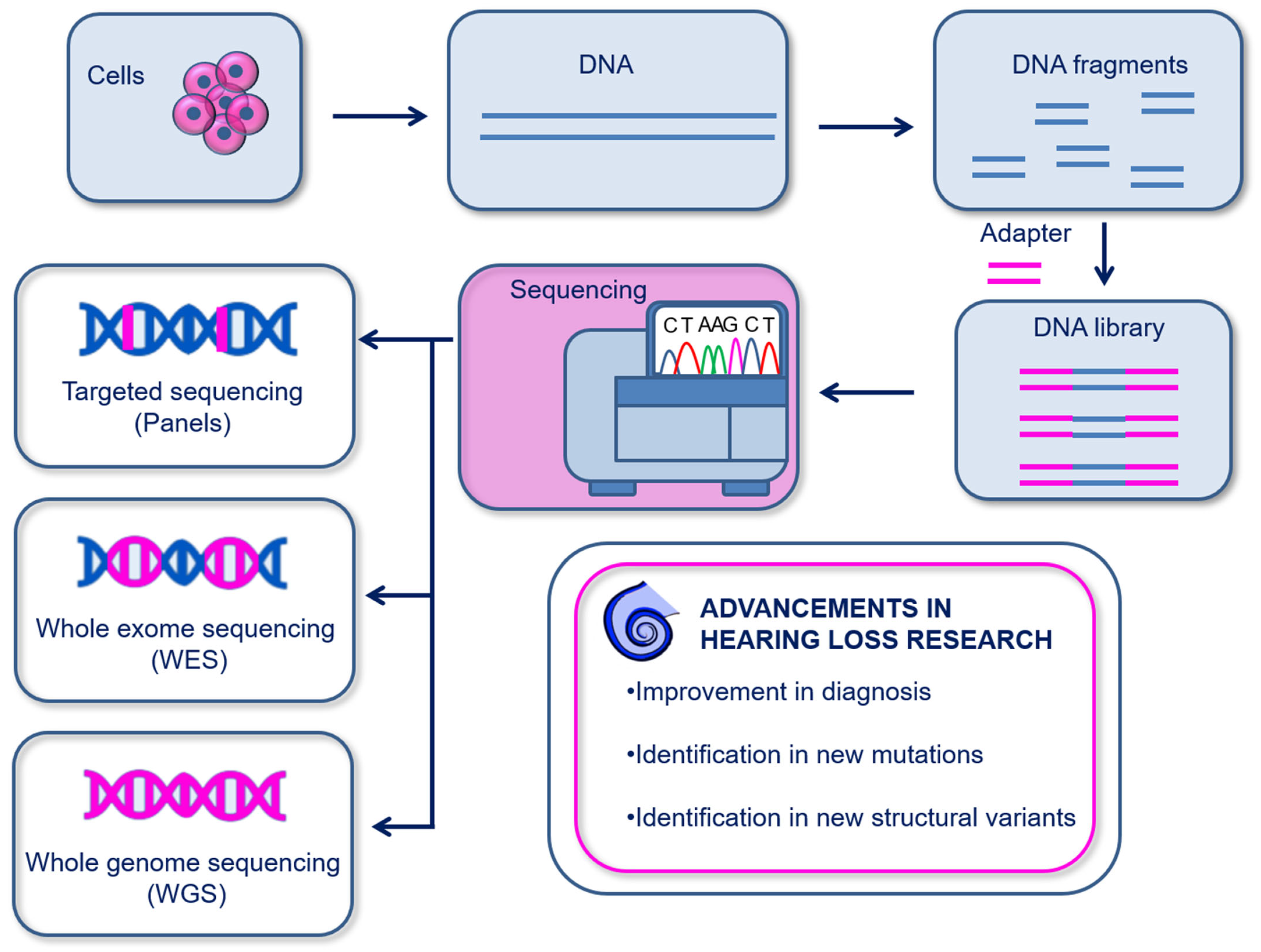 Biomolecules 13 01534 g002 Biomolecules 13 01534 g002
