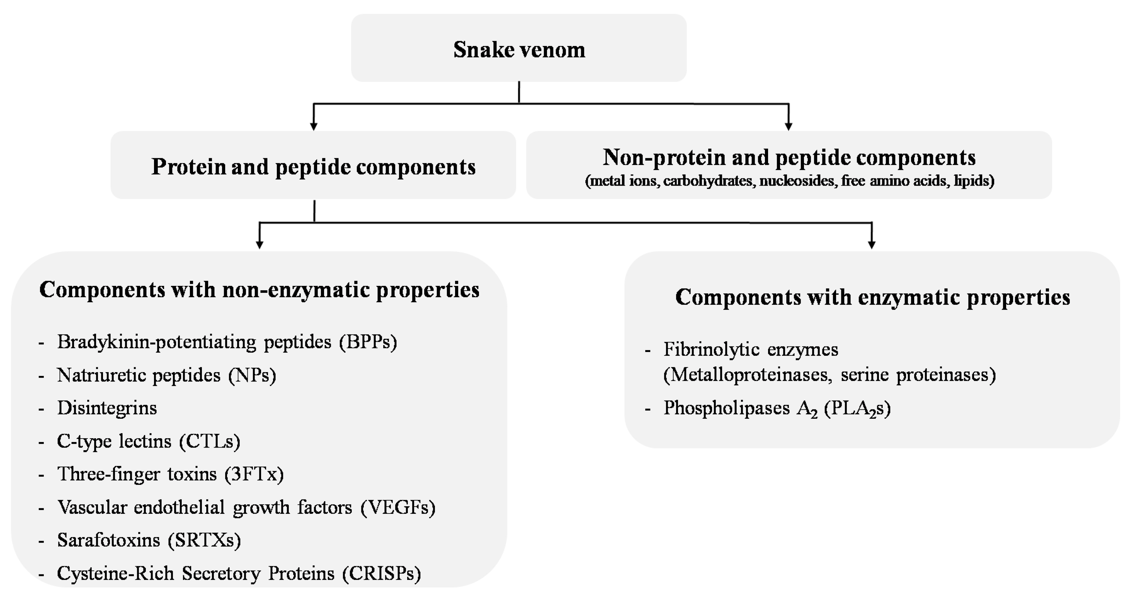 Biomolecules 13 01539 g001