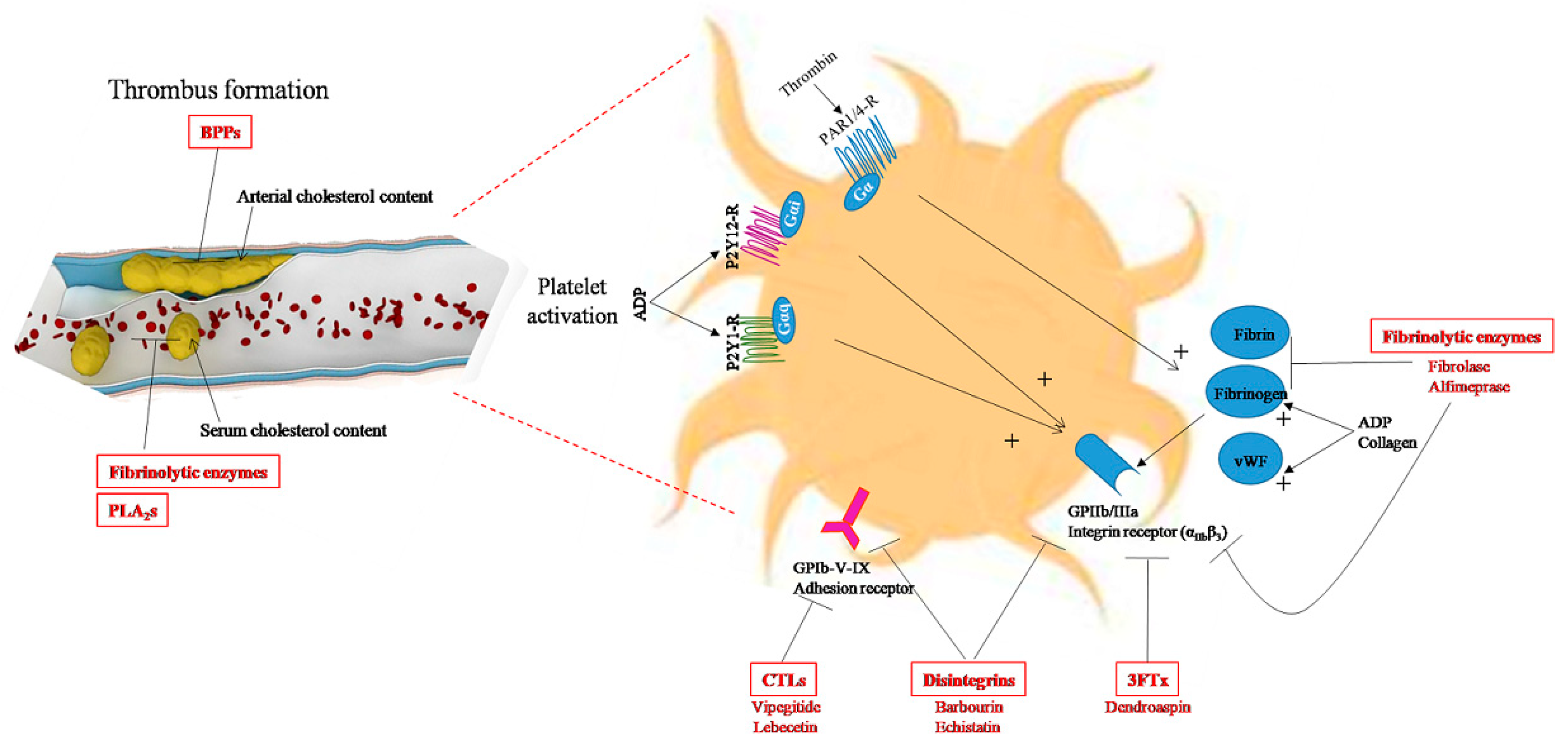 Biomolecules 13 01539 g003