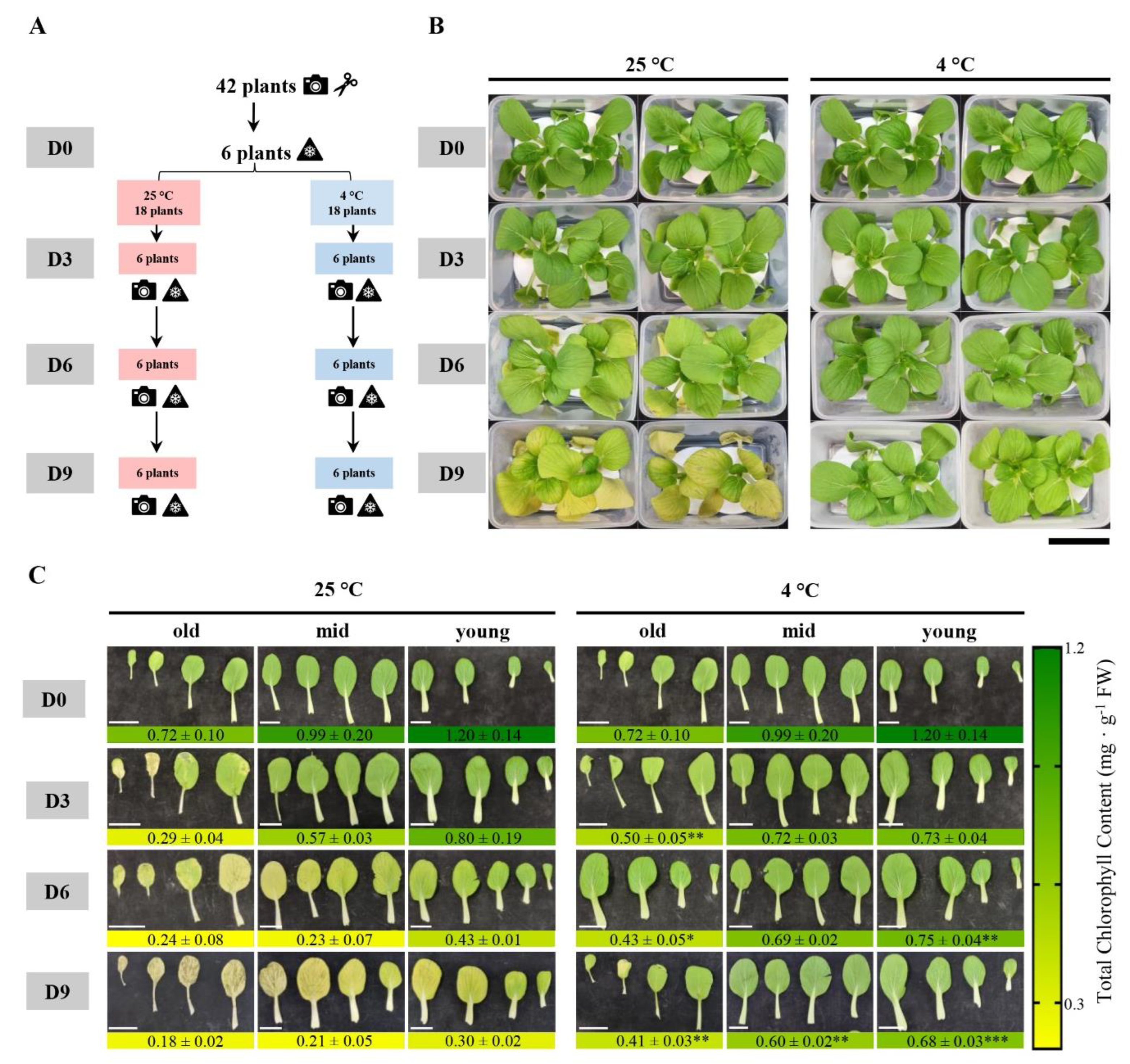 Biomolecules 13 01540 g001