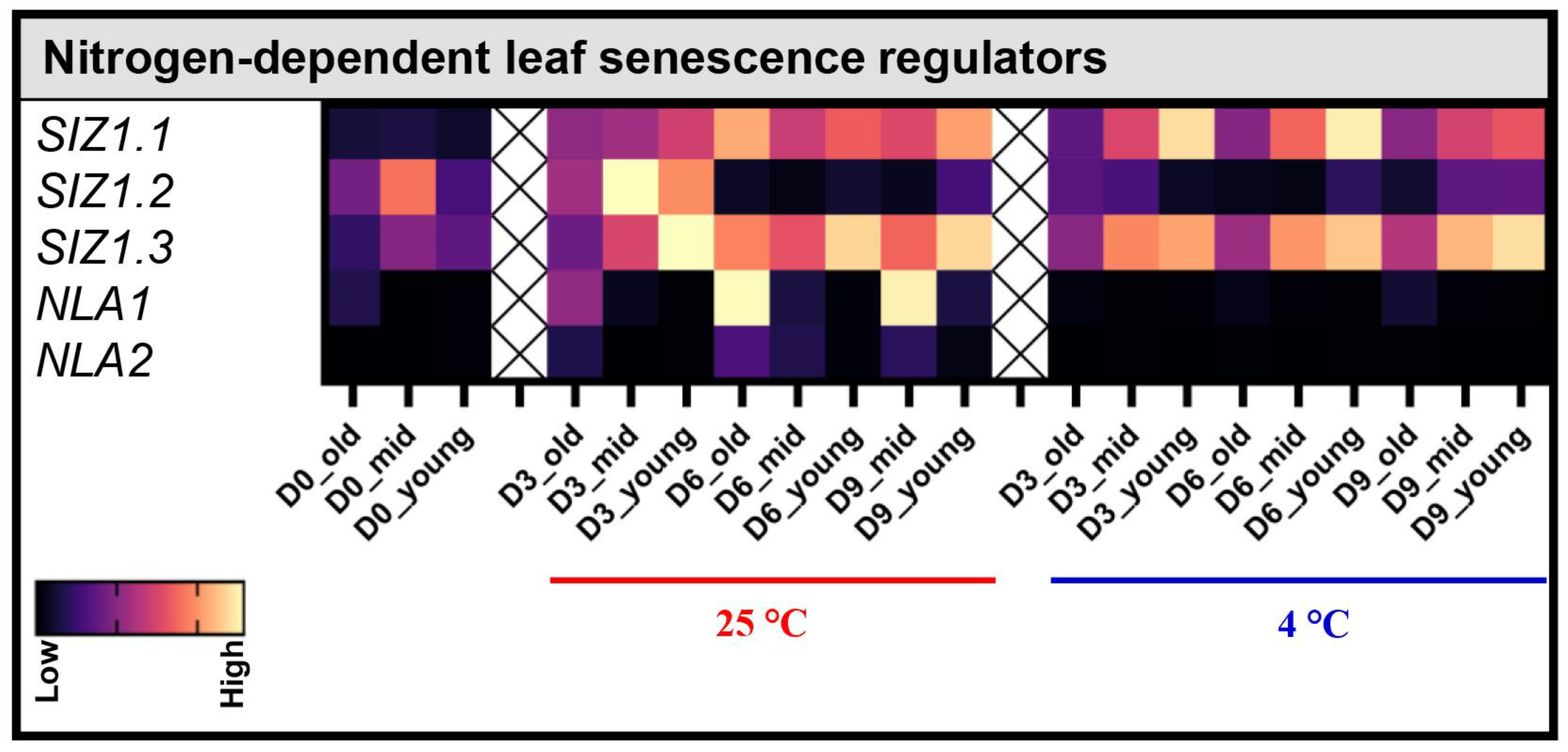 Biomolecules 13 01540 g005