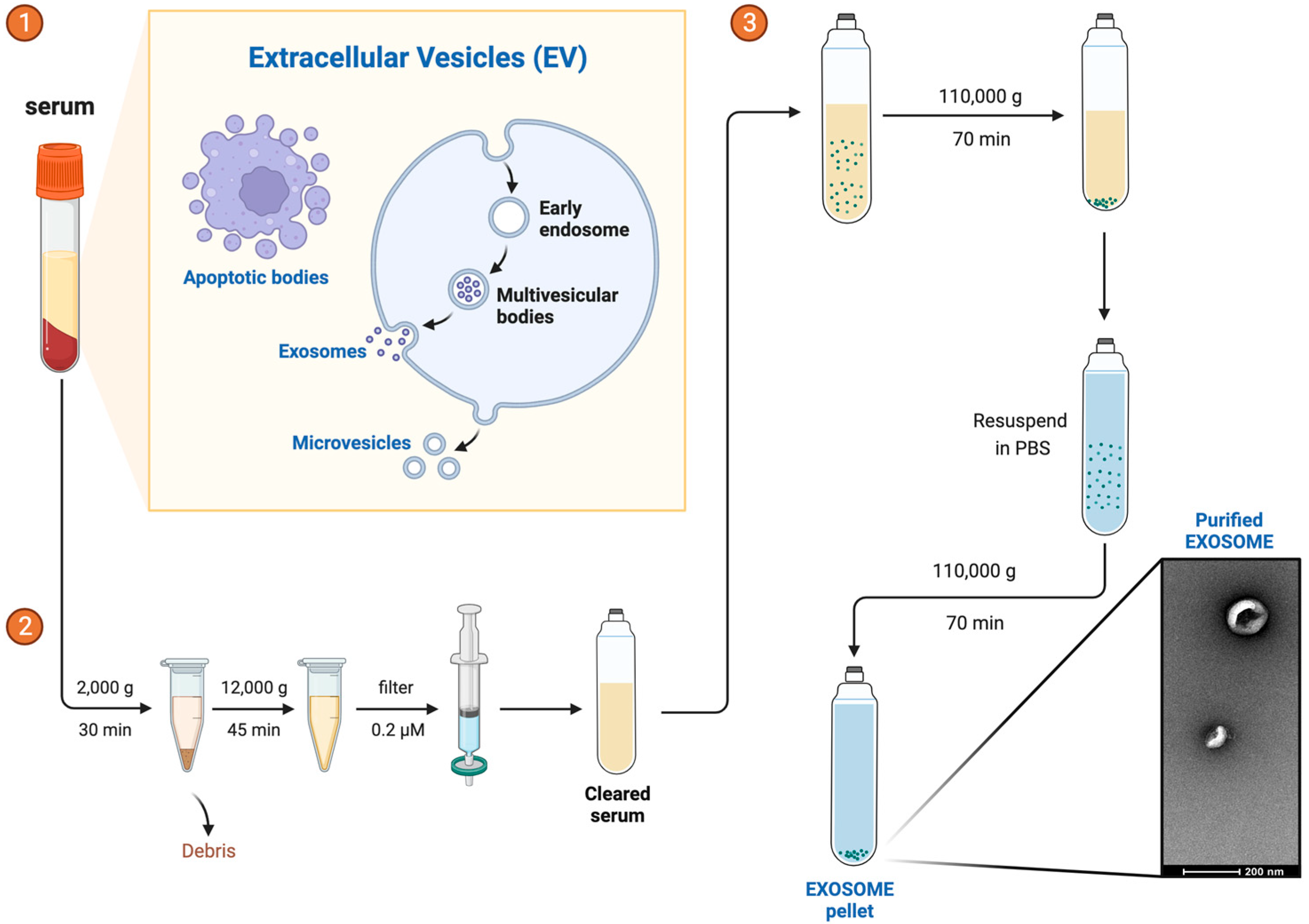 Biomolecules 13 01542 g002