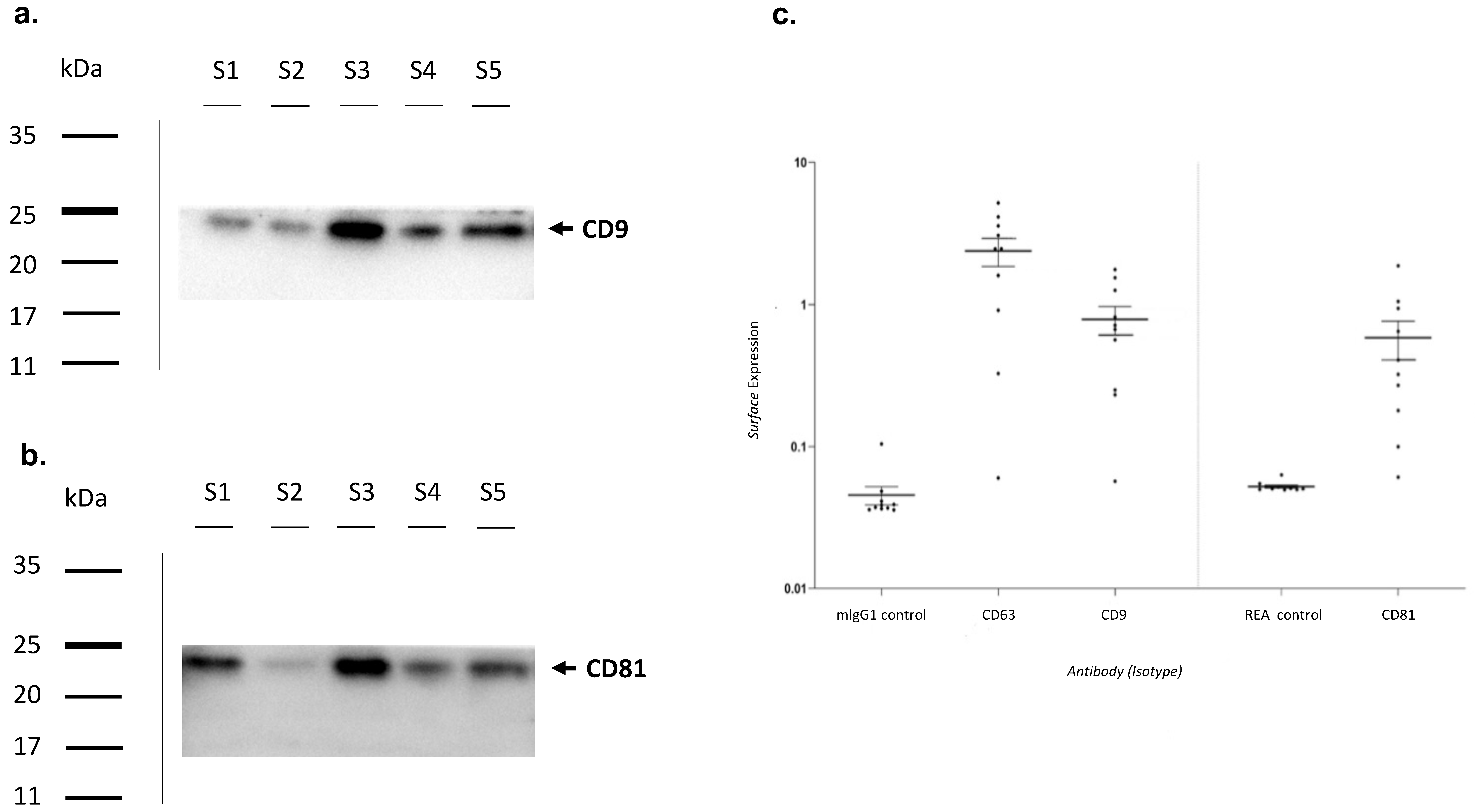 Biomolecules 13 01542 g003