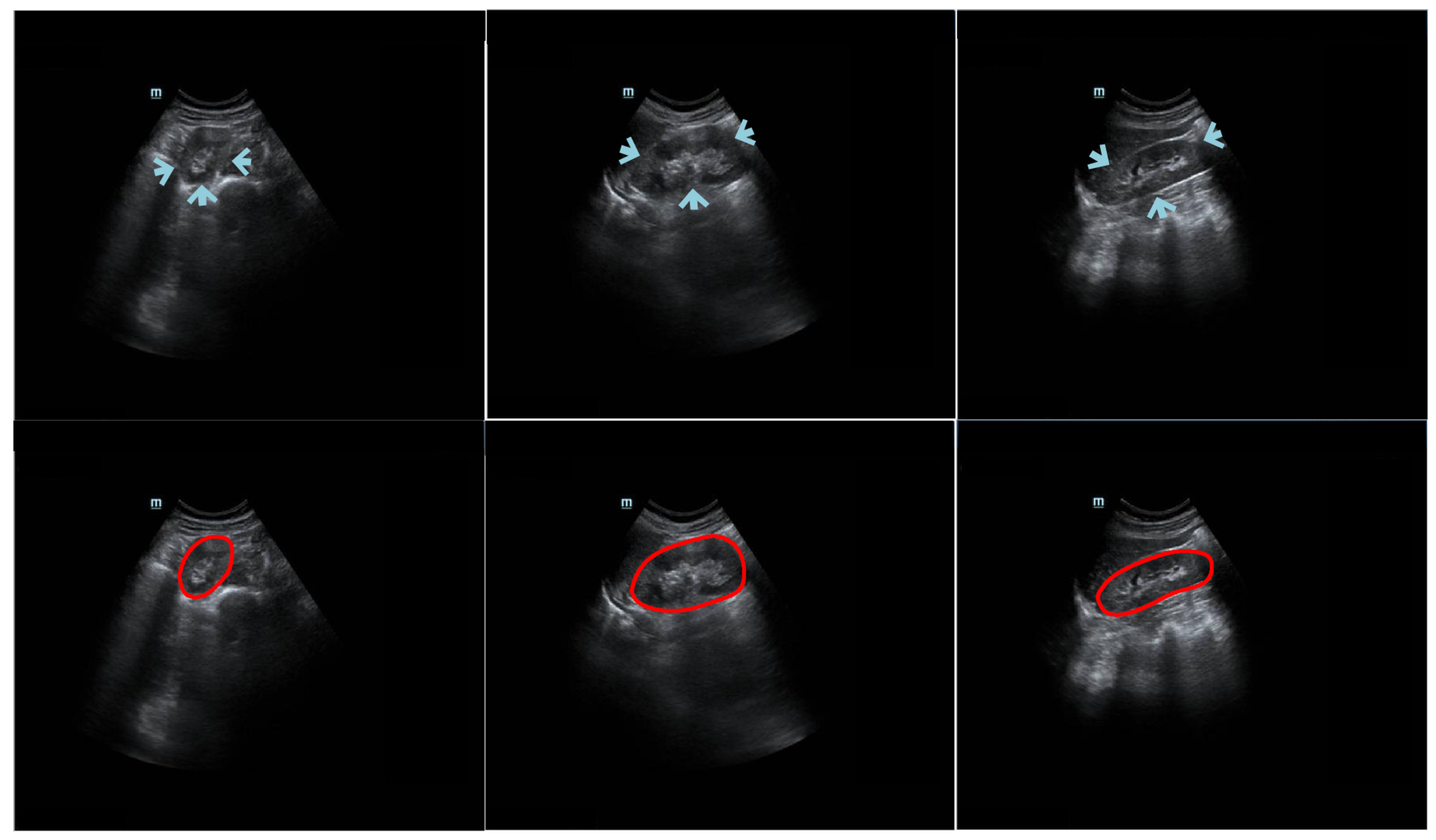 Biomolecules 13 01548 g001