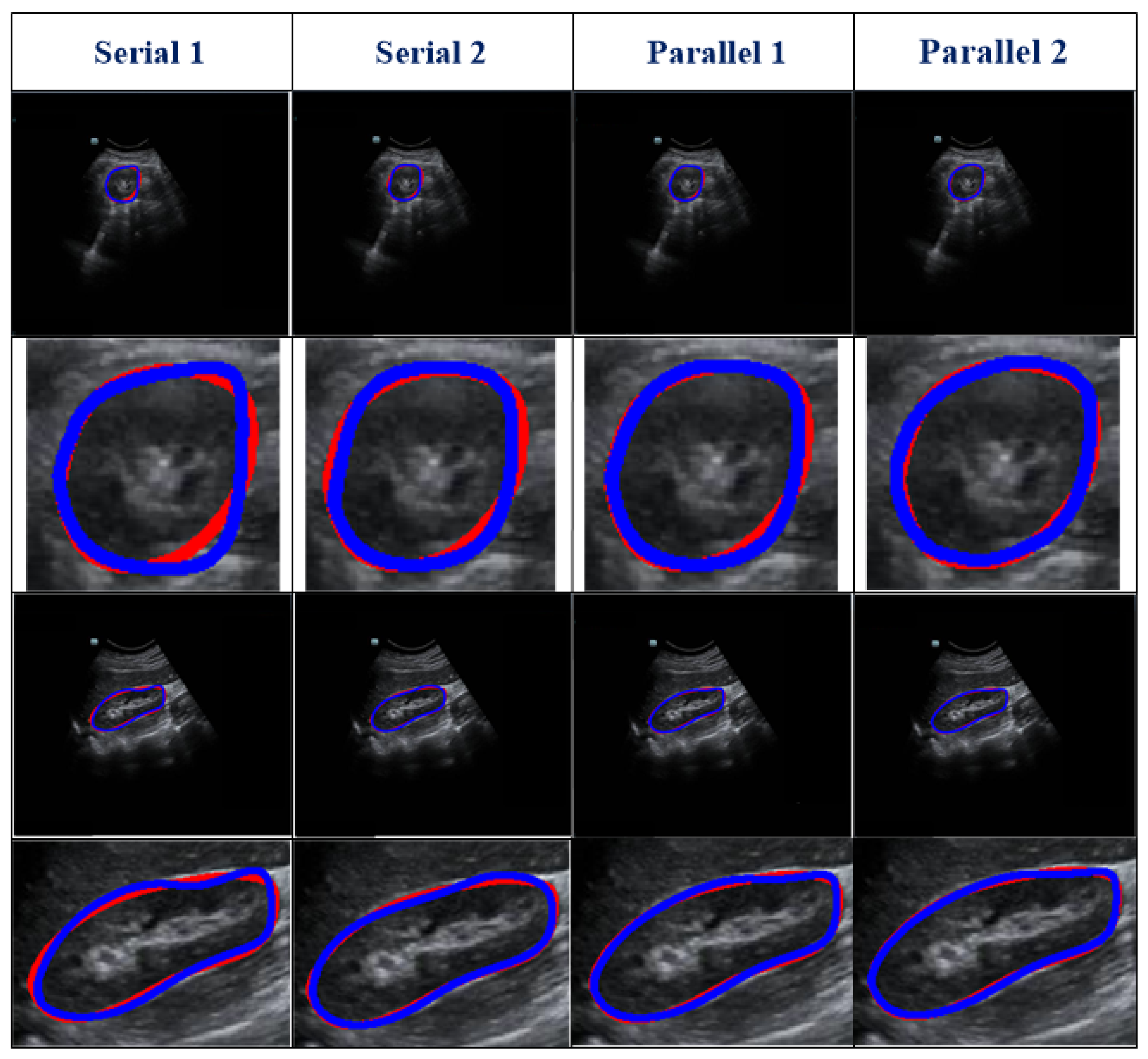 Biomolecules 13 01548 g005