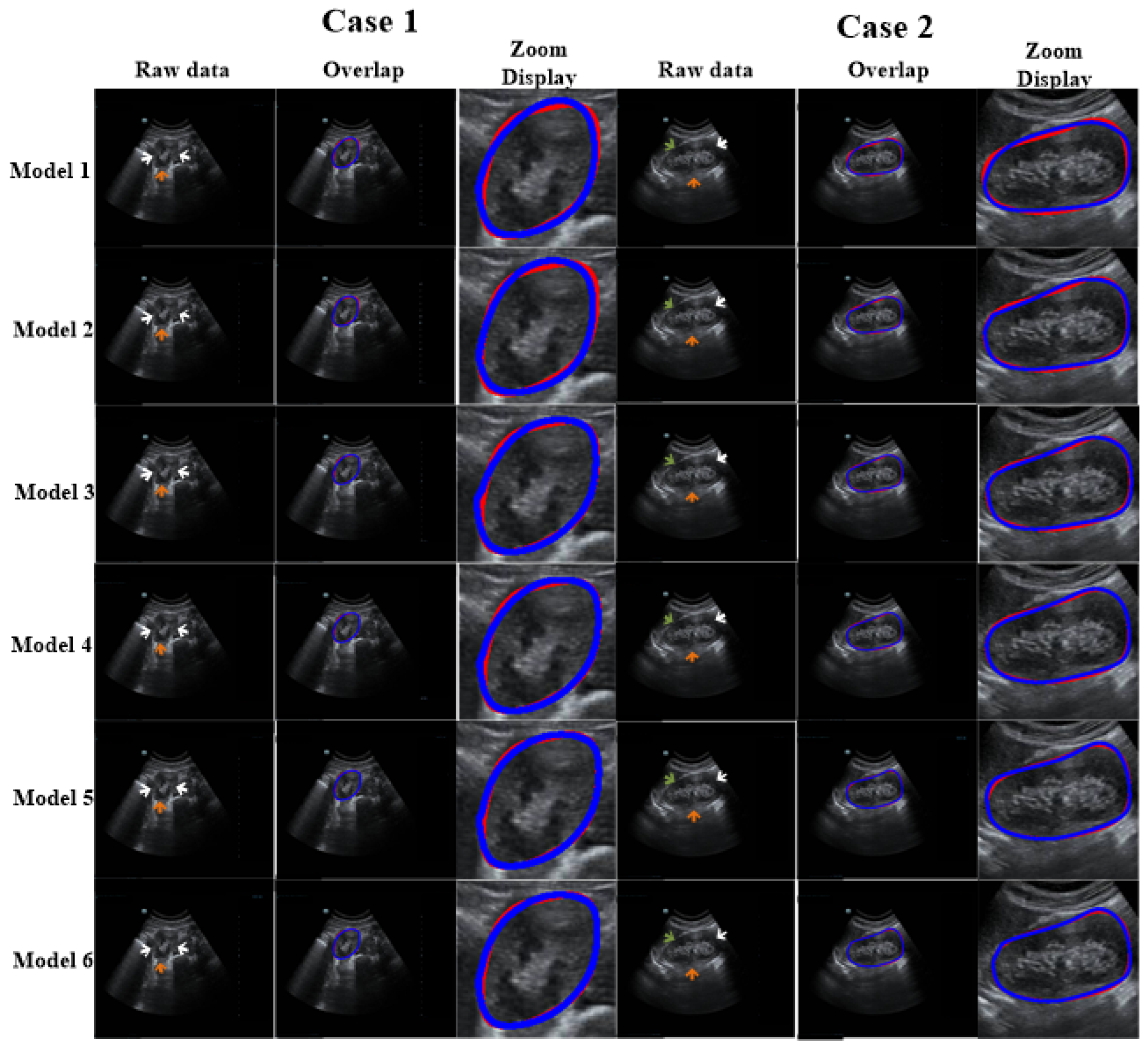 Biomolecules 13 01548 g006