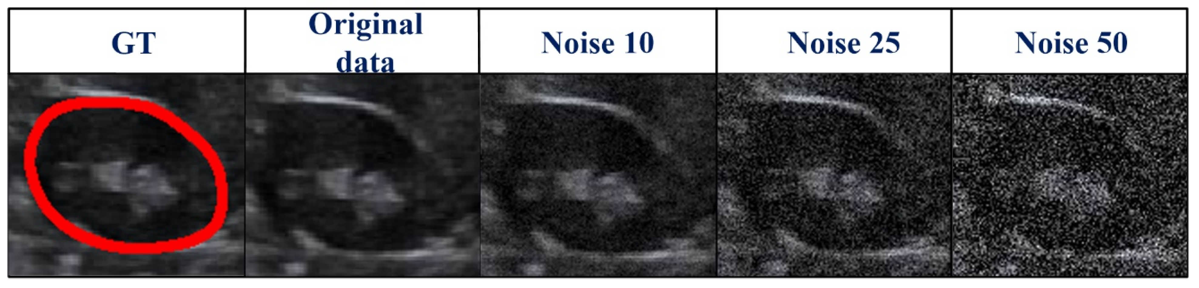 Biomolecules 13 01548 g008