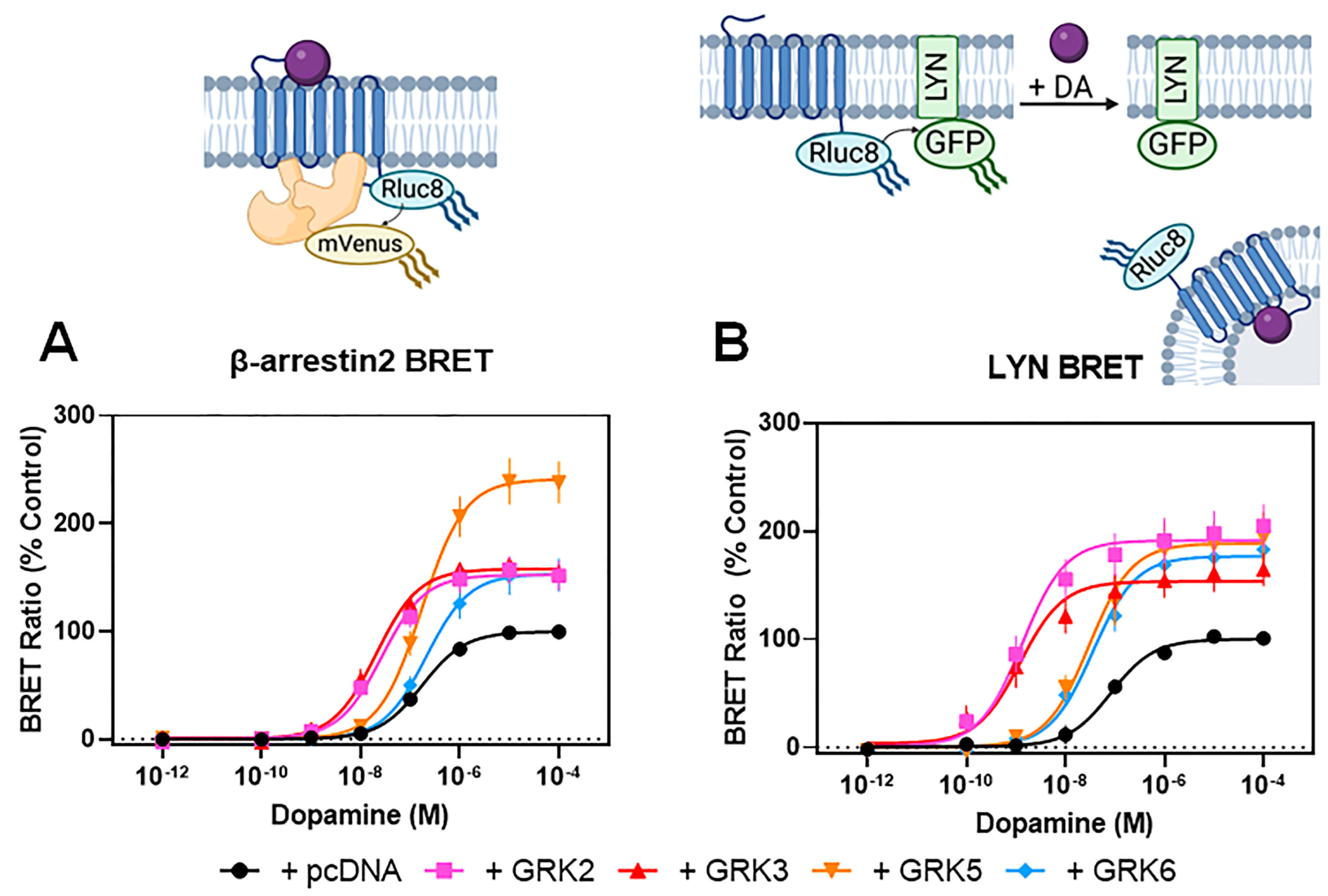 Biomolecules 13 01552 g001