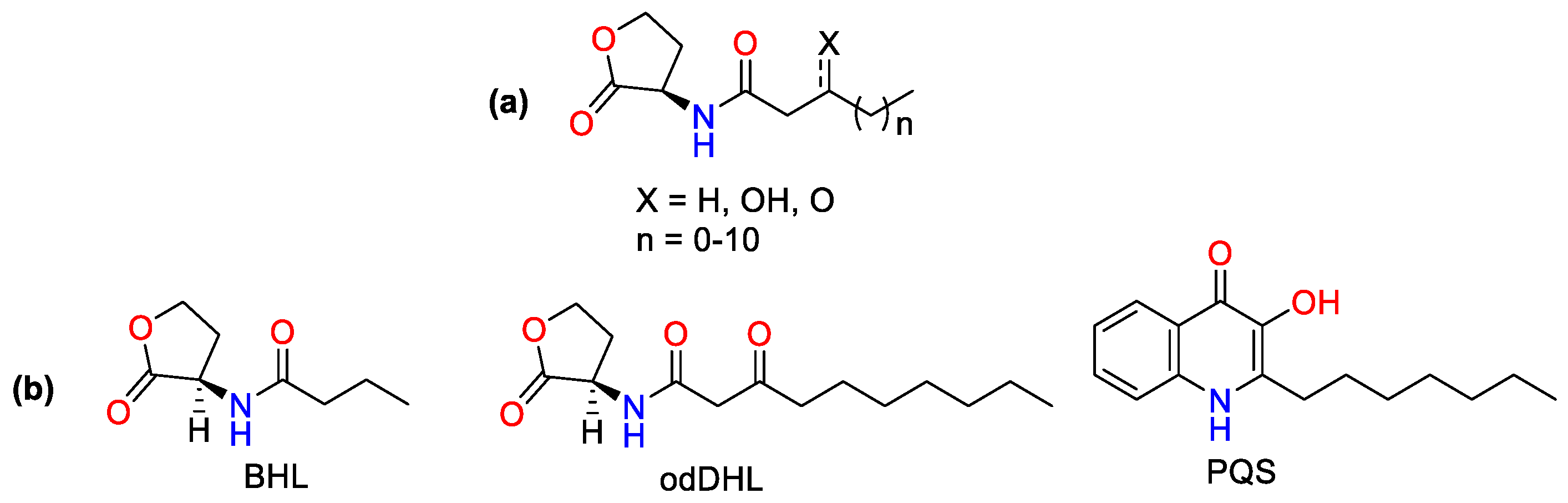 Biomolecules 13 01573 g001