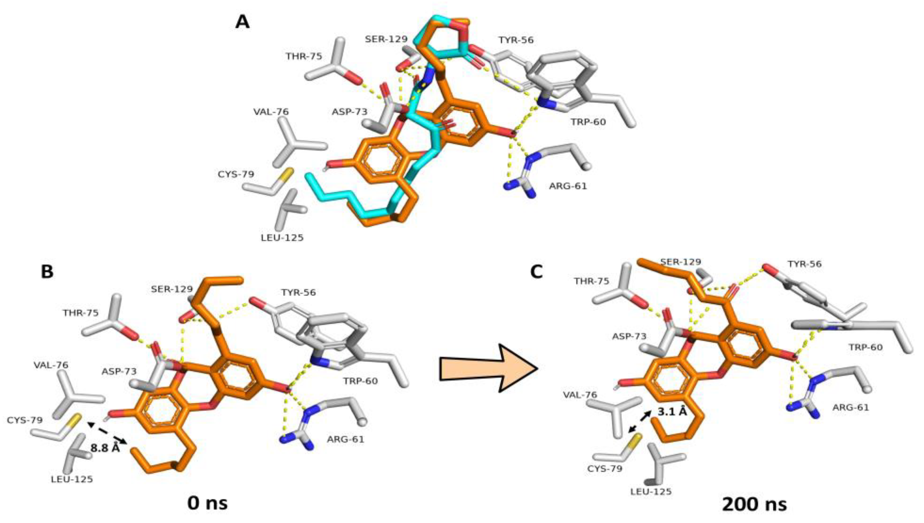 Biomolecules 13 01573 g006