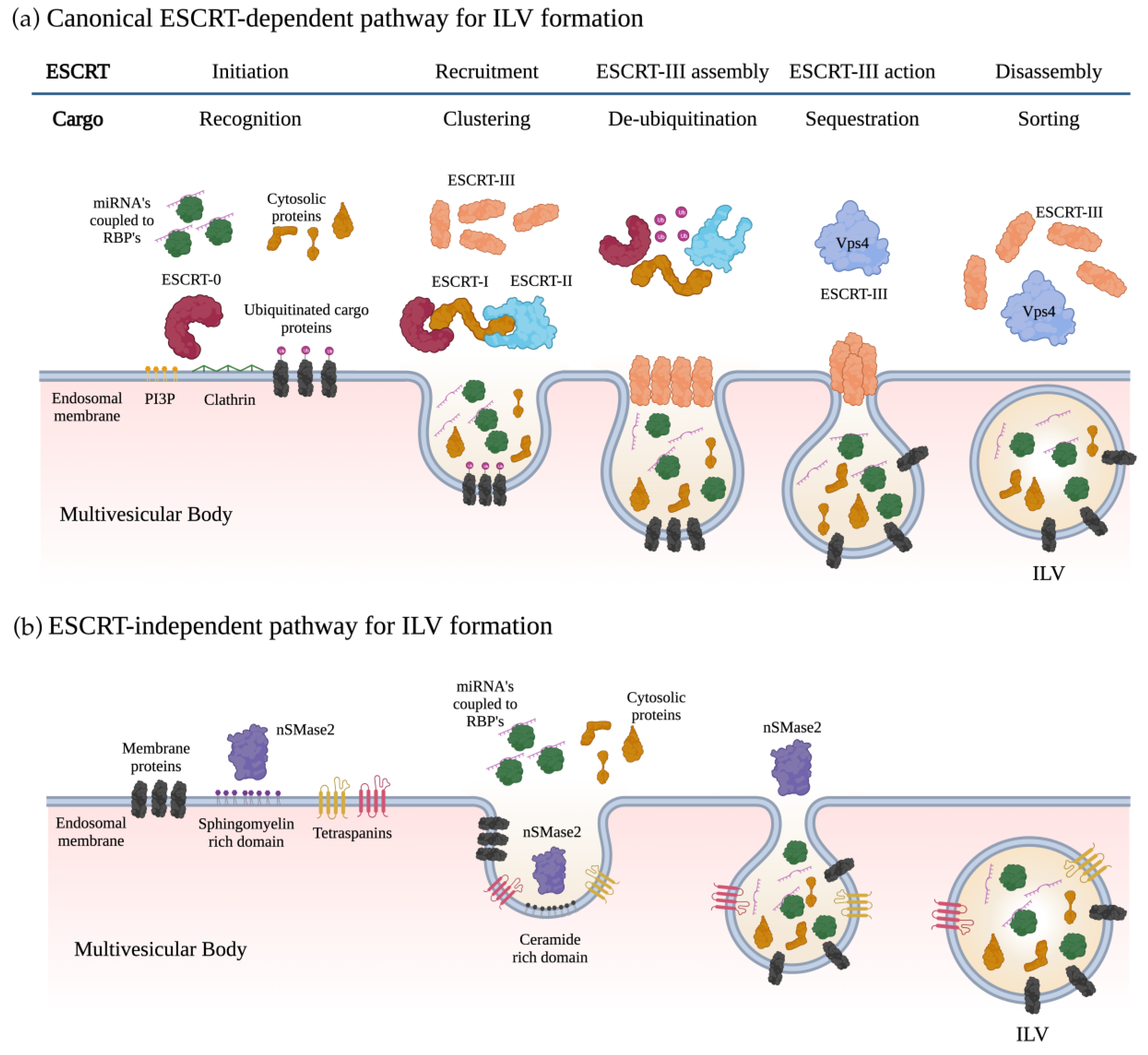 Biomolecules 13 01574 g001